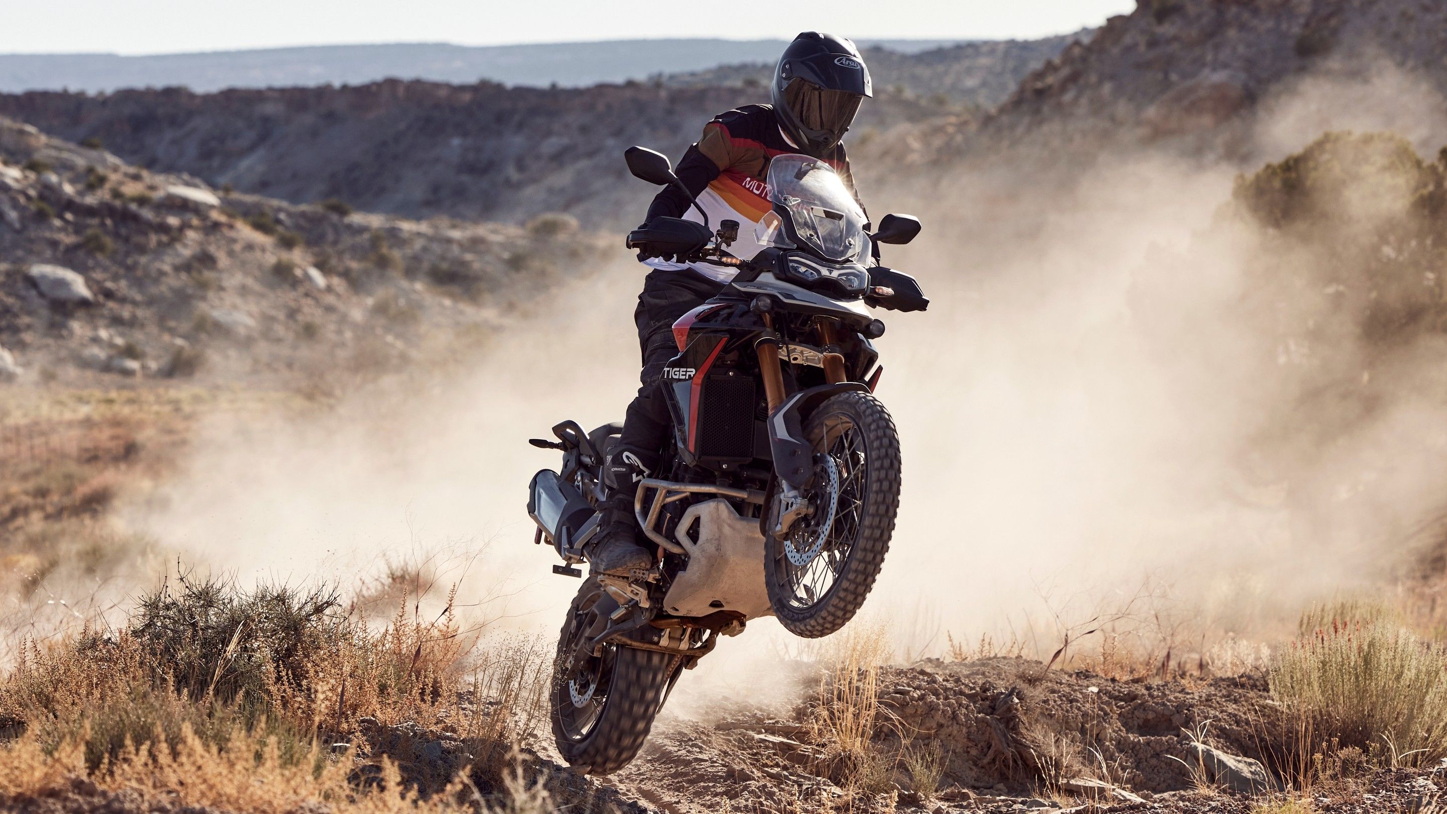 2024 Triumph Tiger 900 Rally Pro Action