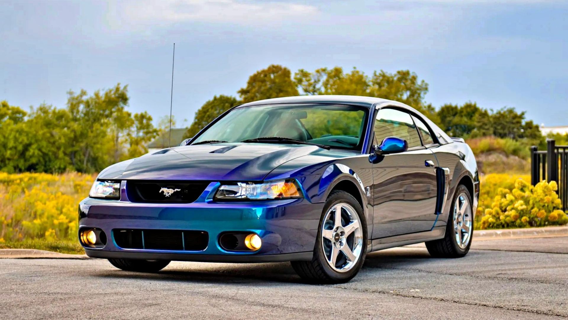 Best Of The Best: Greatest Ford Mustang Models Of All Time