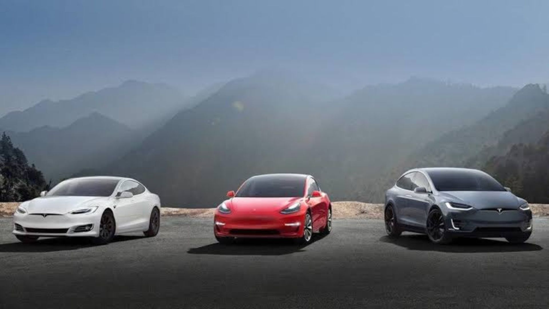 Teslas Parked Together 