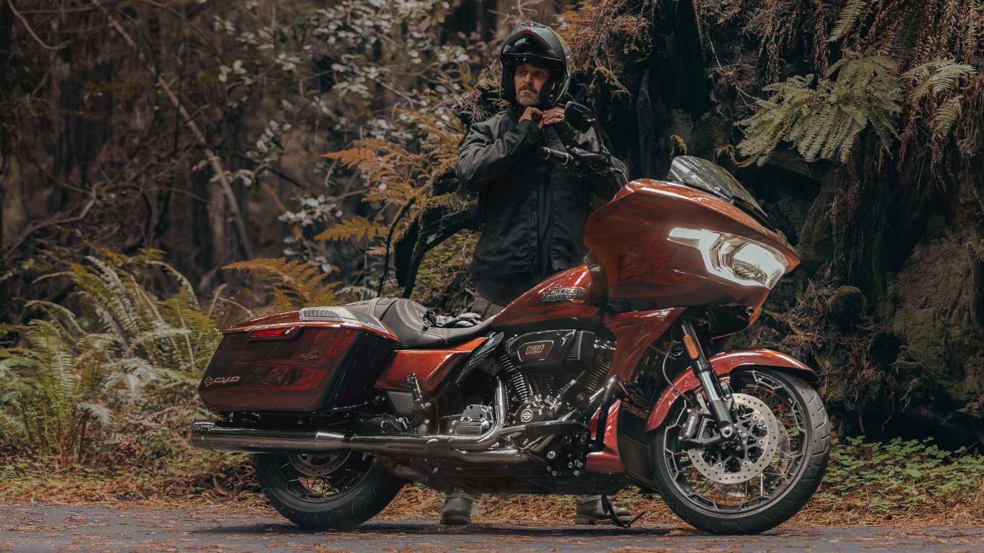2024 Harley-Davidson CVO Road Glide Copperhead 1