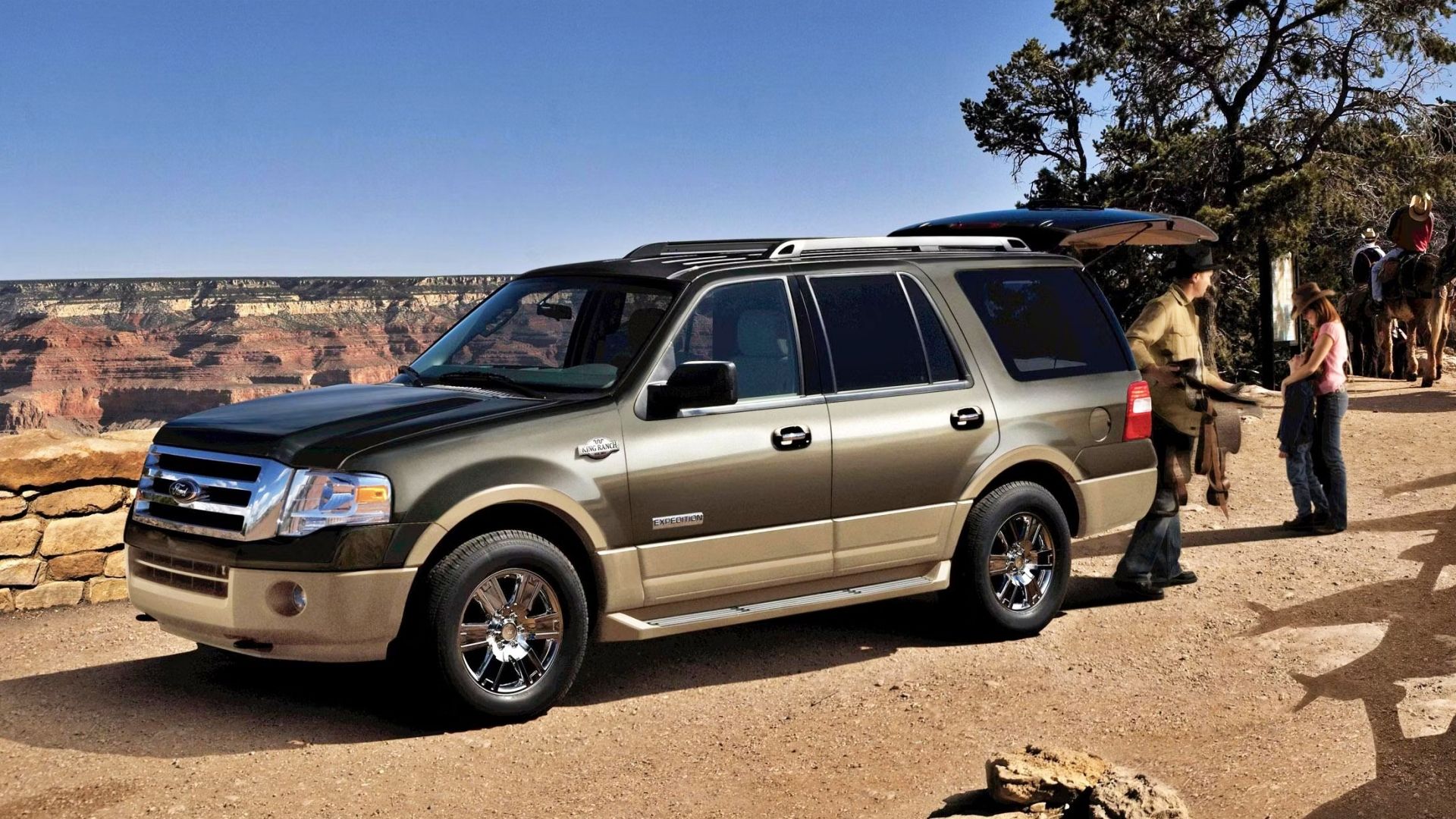 Green 2008 Ford Expedition
