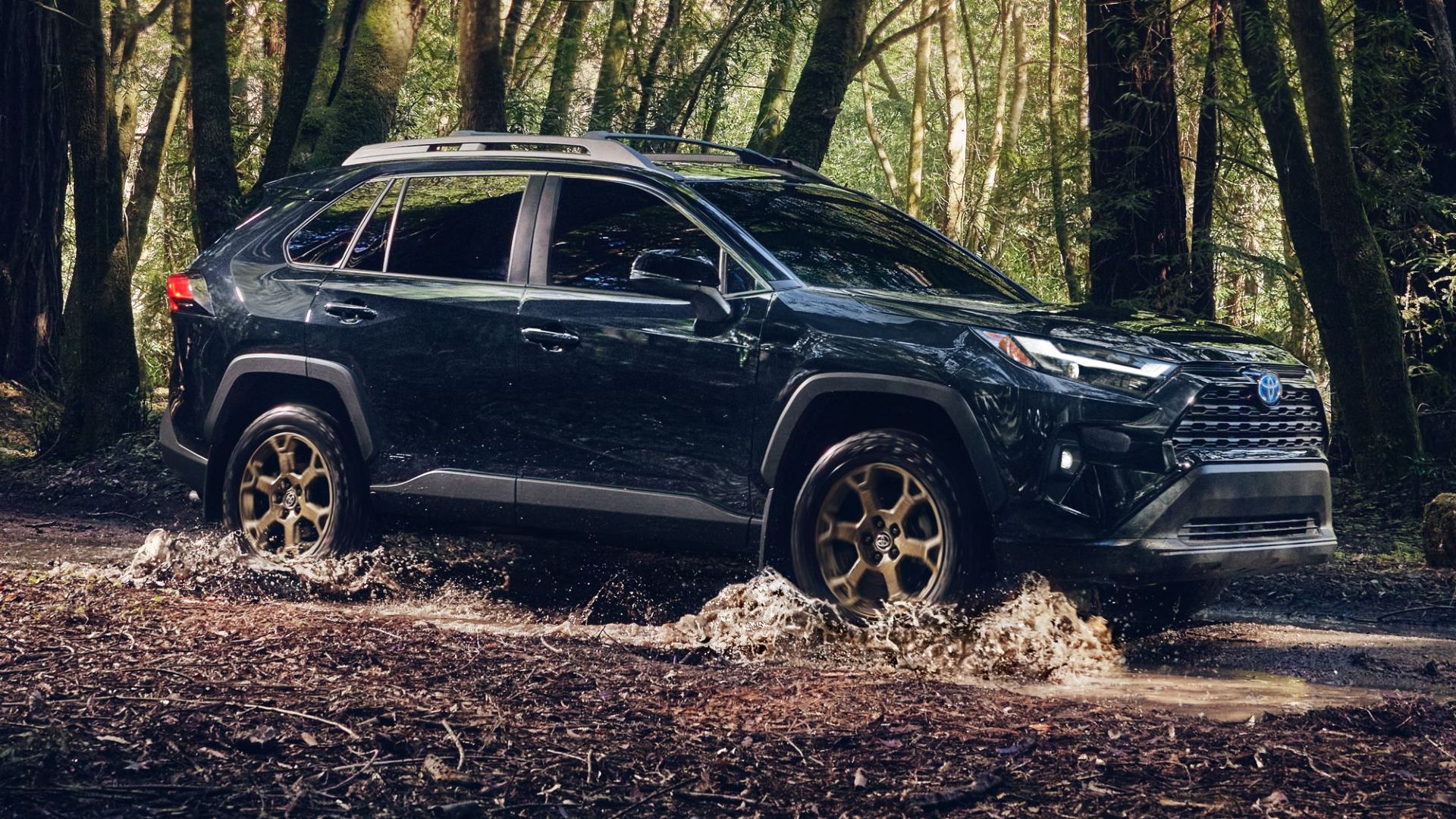 2024 Toyota RAV4 Híbrido