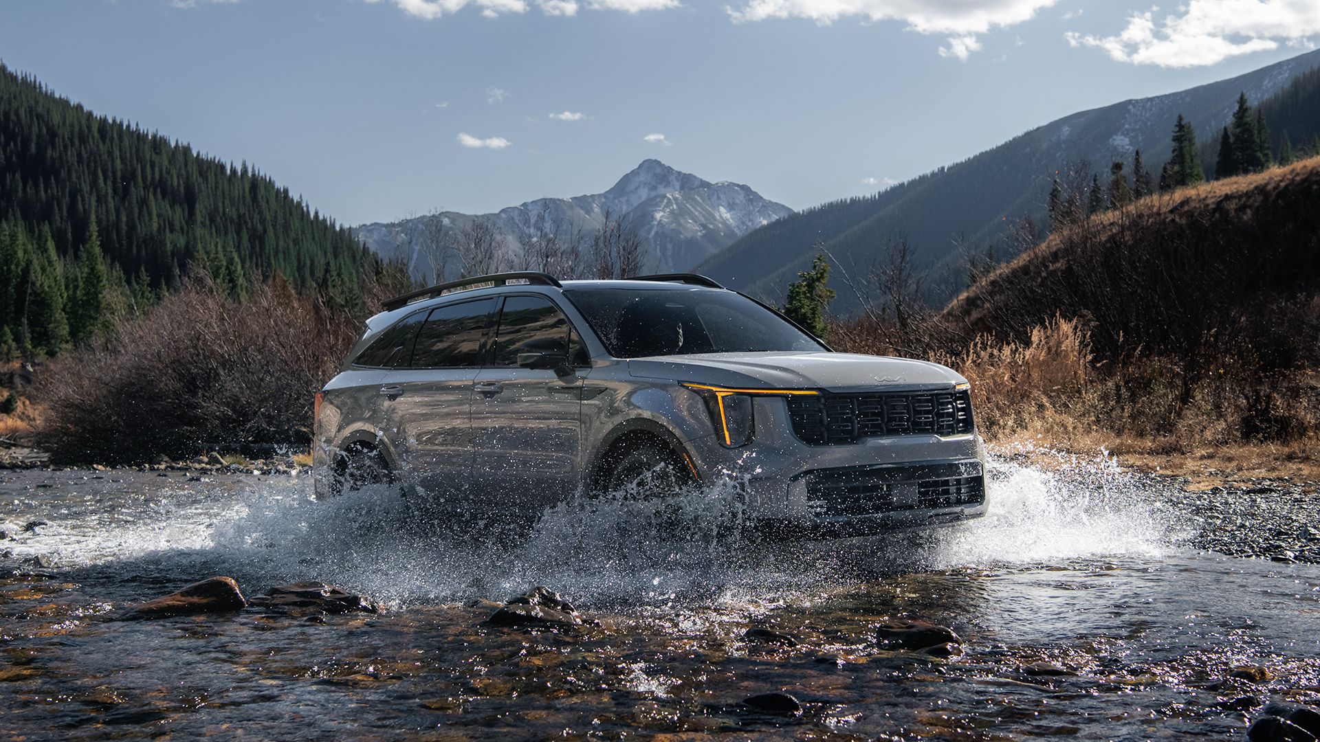 2024 Sorento water