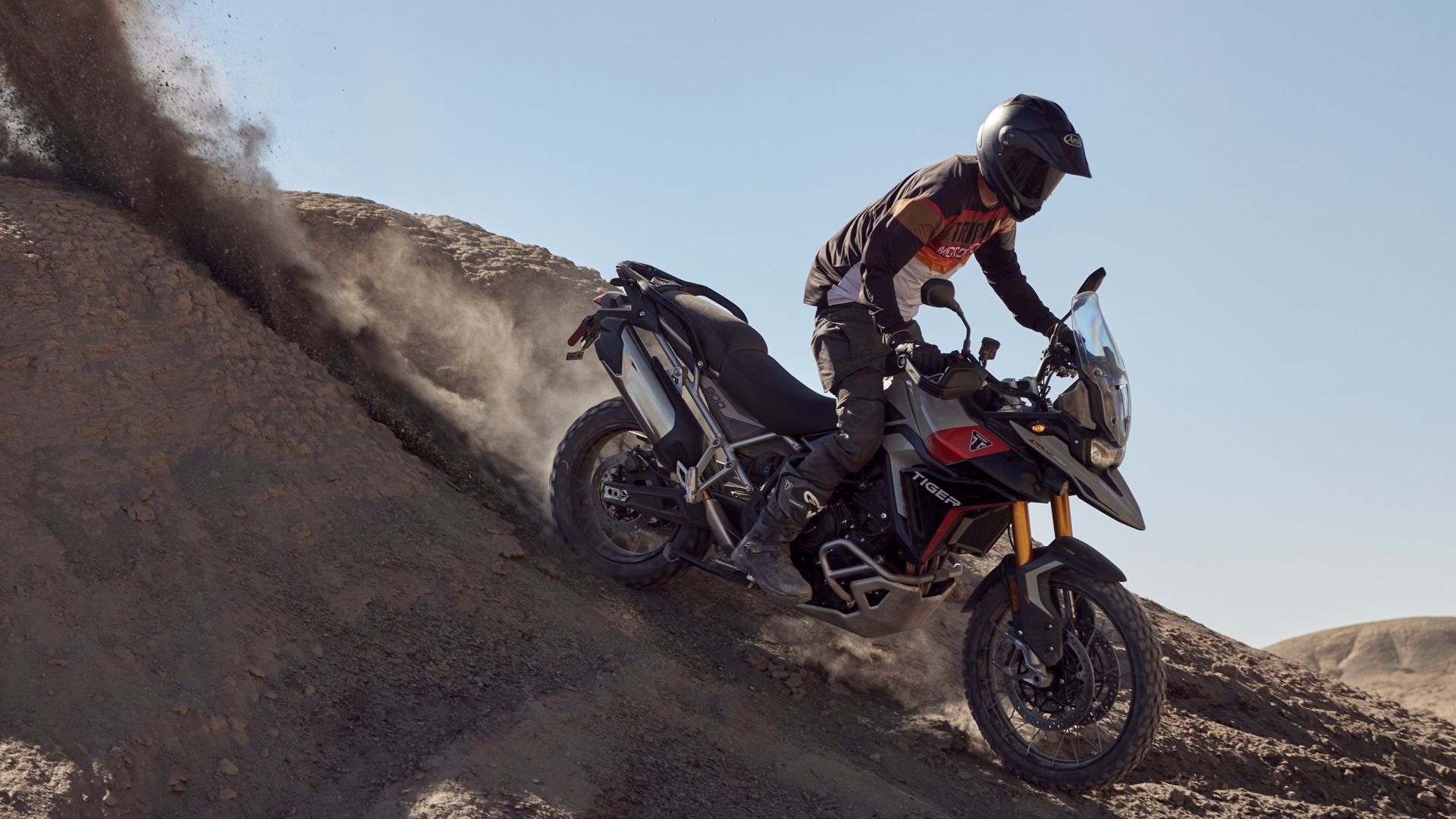 2024 Tiger 900 Rally Pro action shot