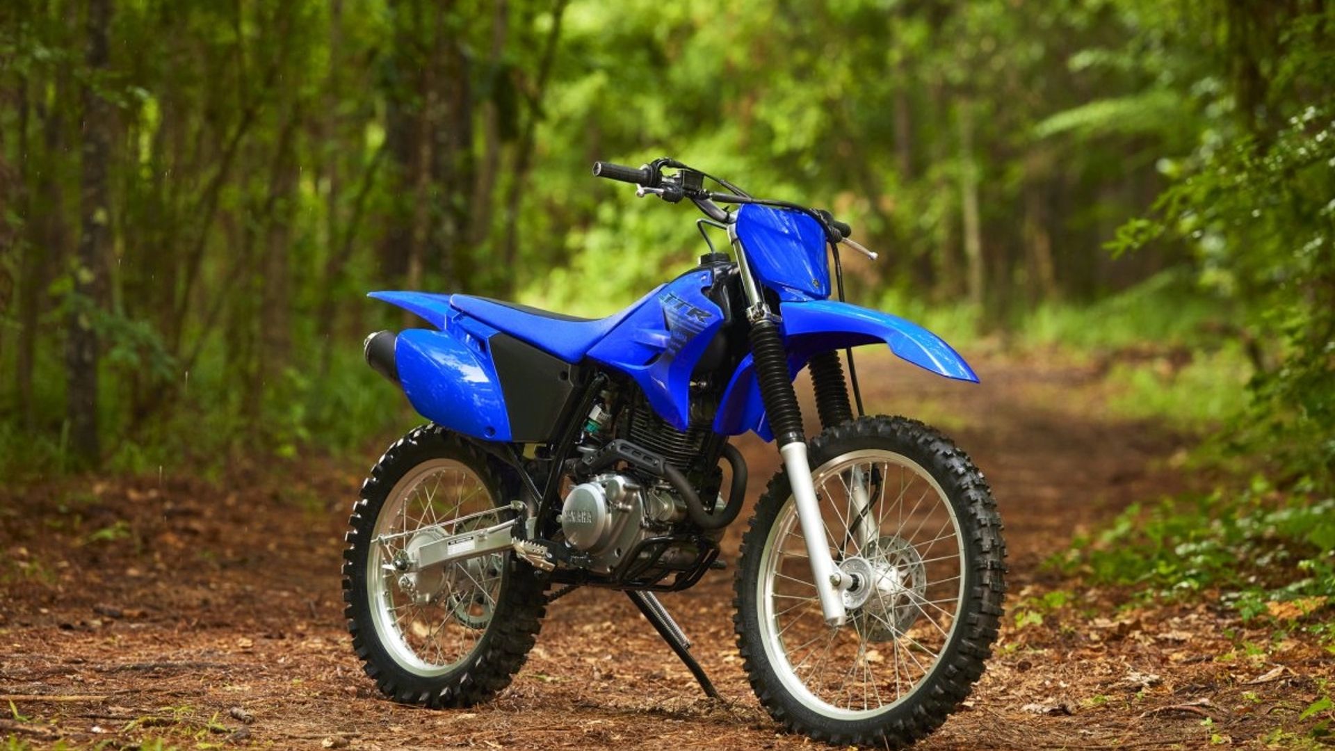 Yamaha TT-R230