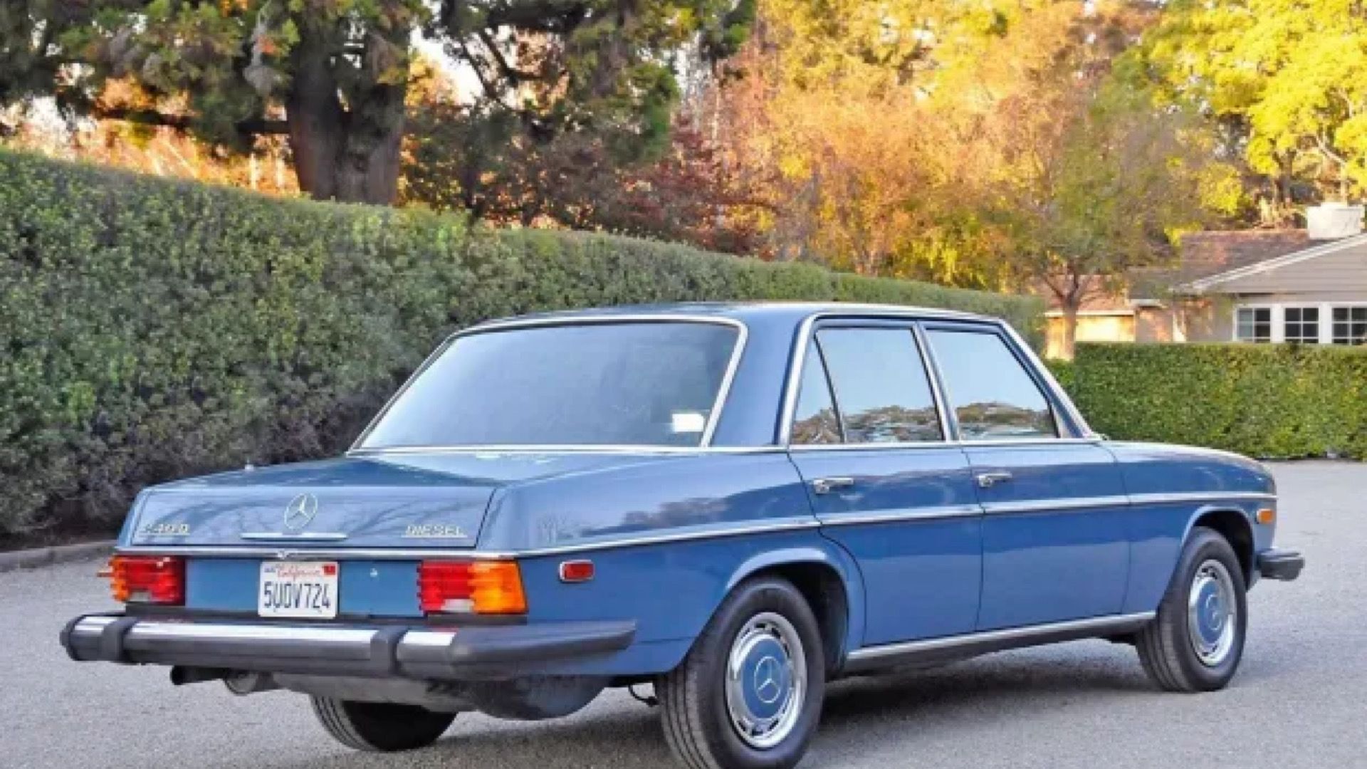 1976 Mercedes-Benz 240D in blue Posing in front of hedge in driveway