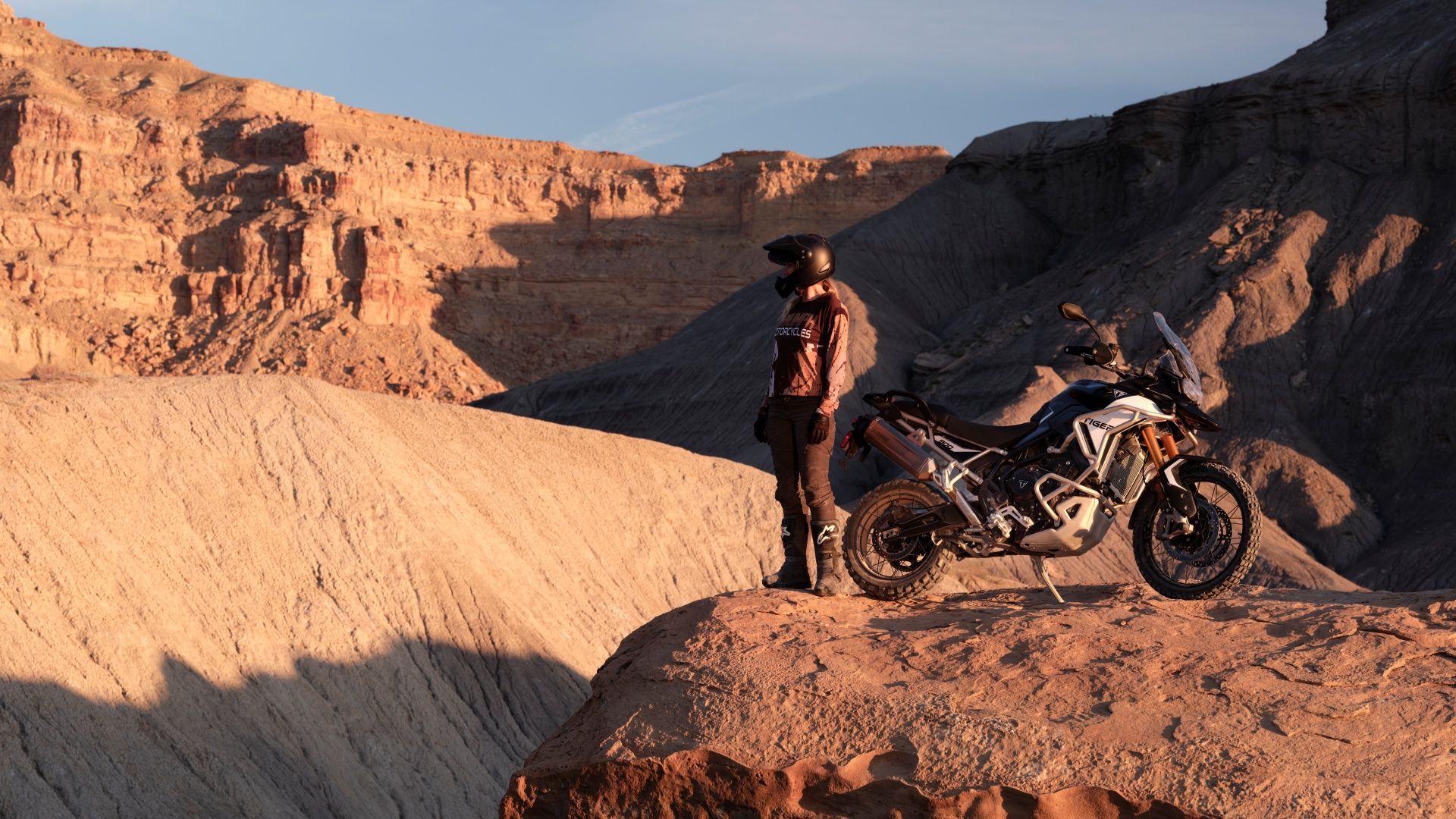 Triumph Tiger 900 Rally Pro