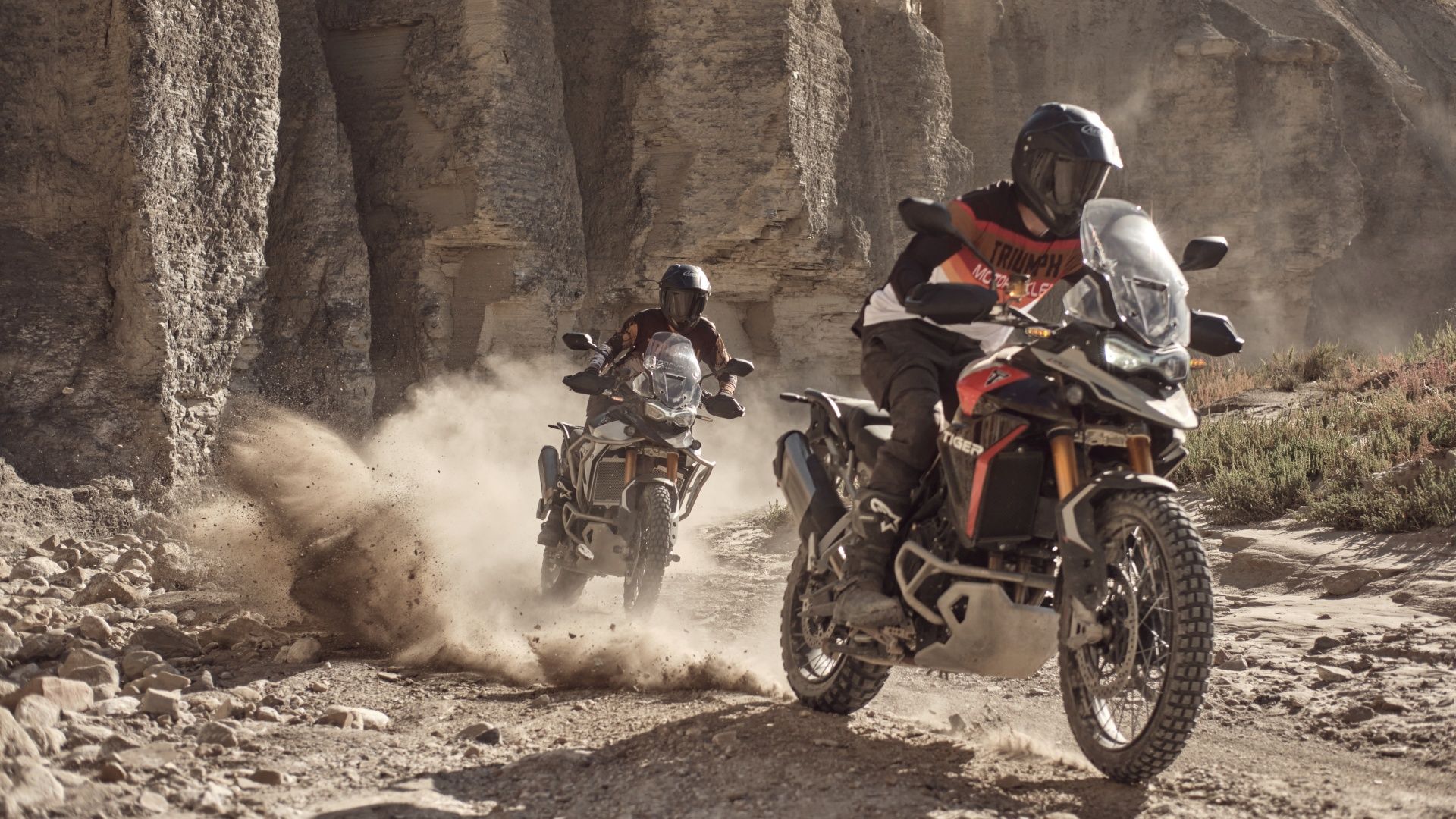 Triumph Tiger 900 Rally Pro action shot
