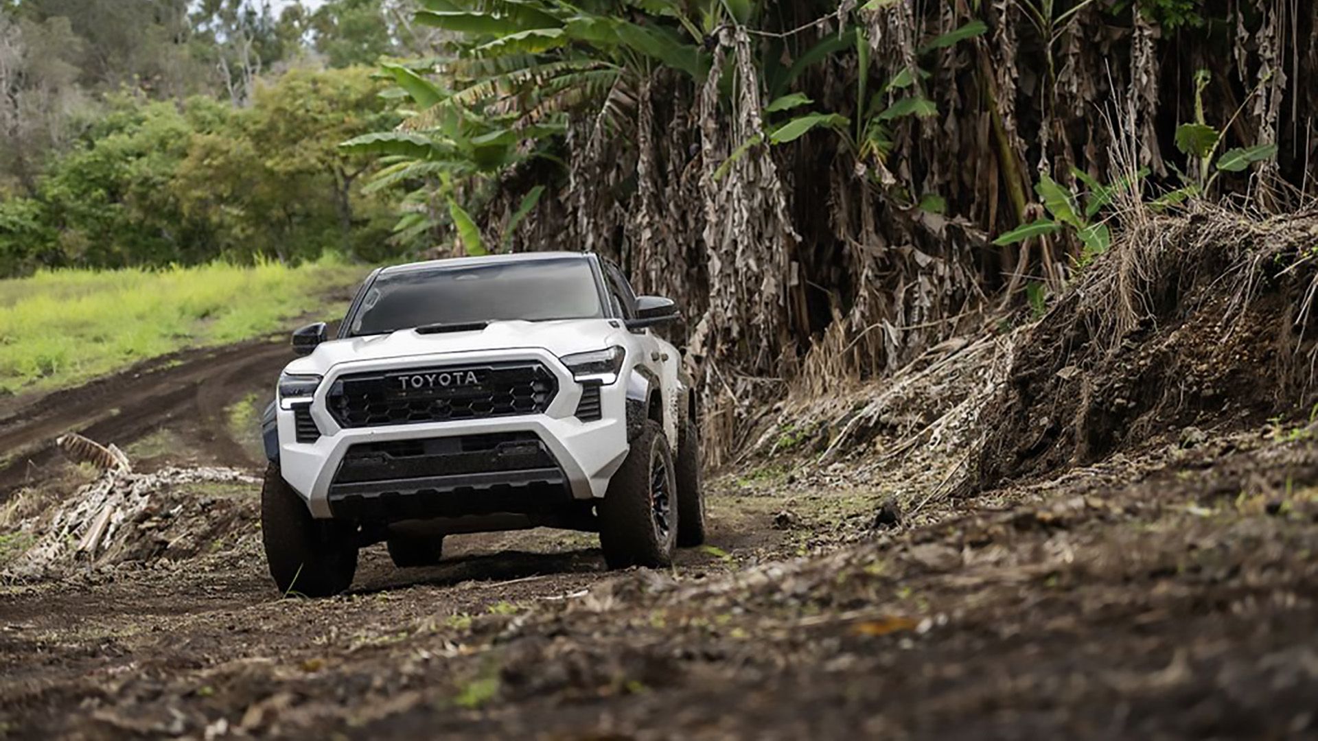 A white Toyota Tacoma TRD Pro 2024 