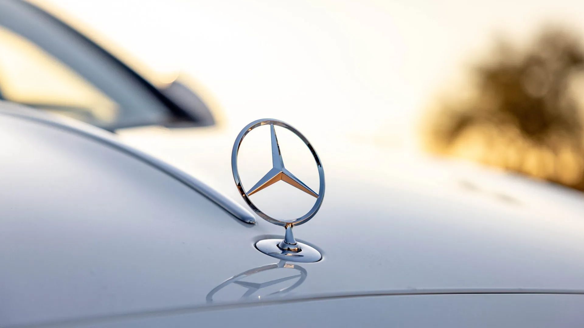 Close-Up Of Silver Mercedes-Benz Hood Ornament At Sunset