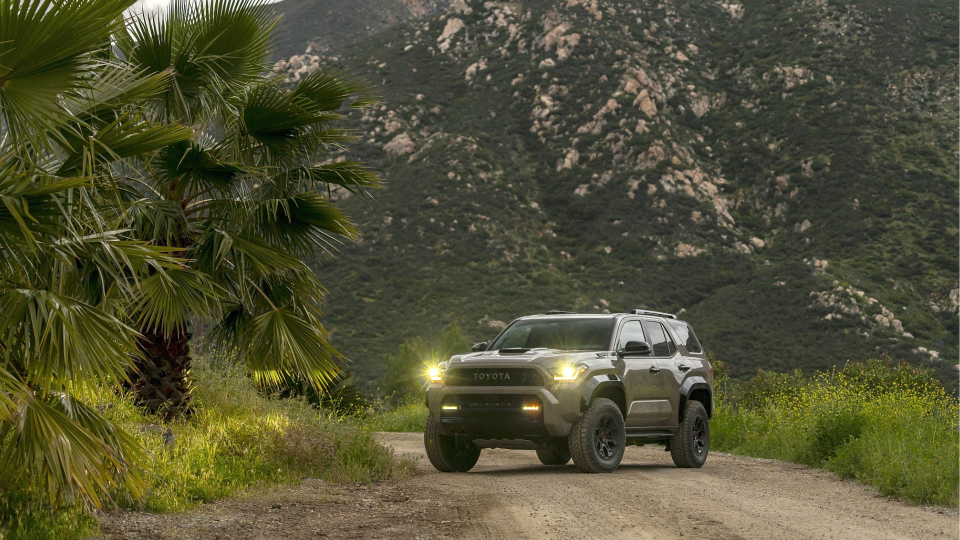2025 Toyota 4Runner front angle view in mountain scene with headlights on