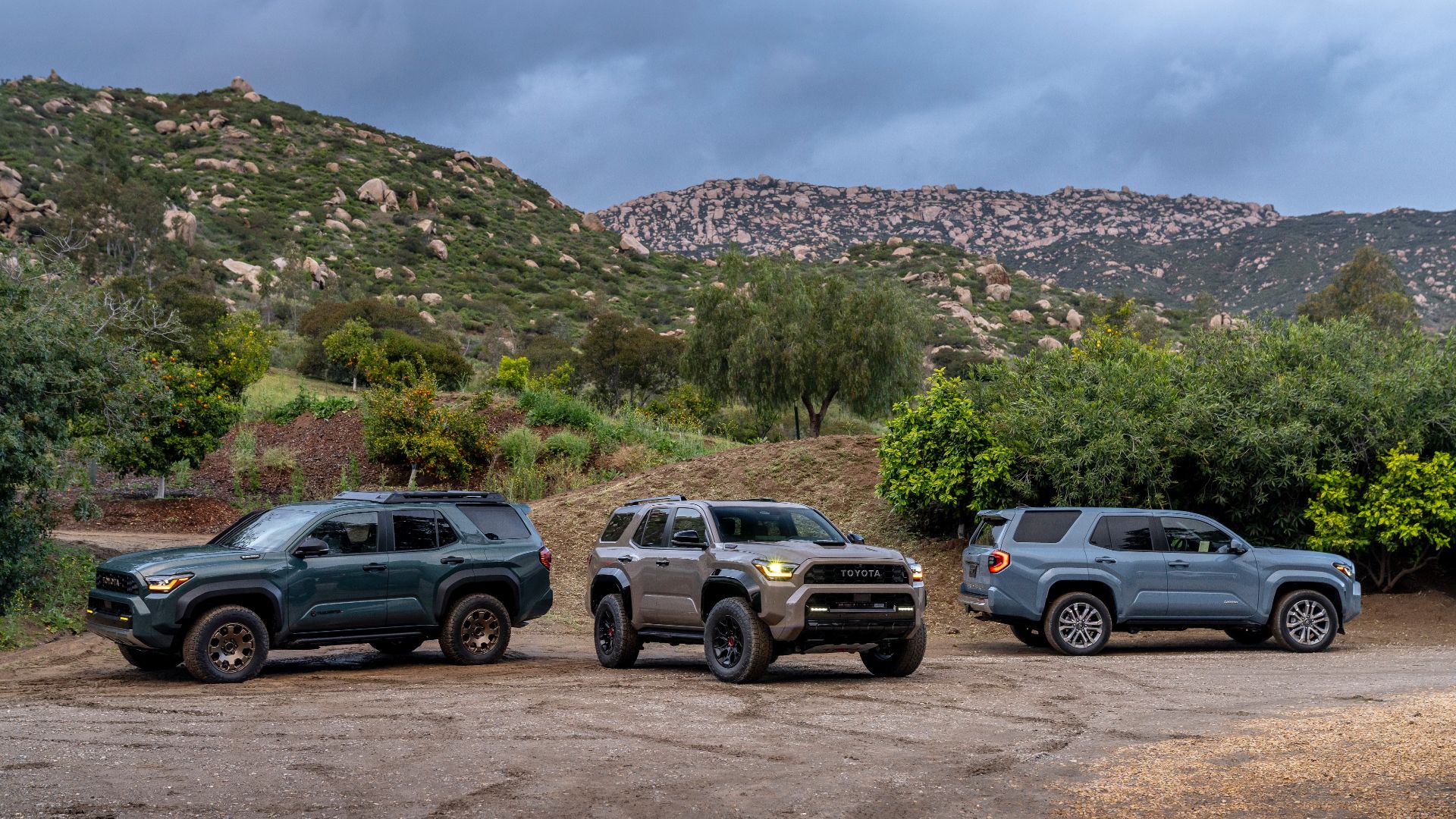 2025 Toyota 4Runner Group with 3 different trims. 