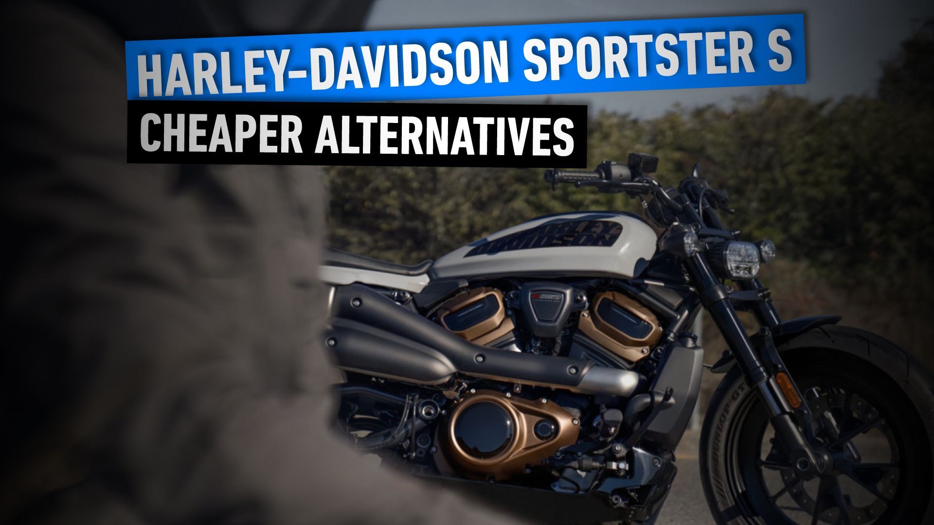 Harley-Davidson-Sportster-S Alternatives
