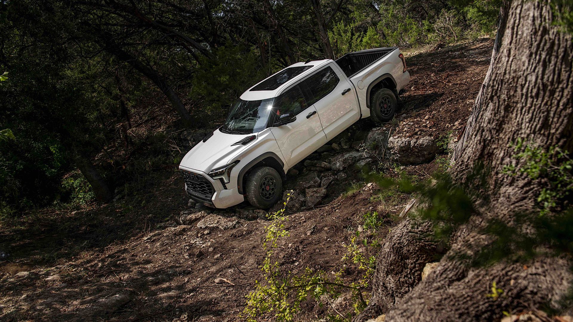 2024 Toyota Tundra TRD Pro In white Traversing down off-road terrain