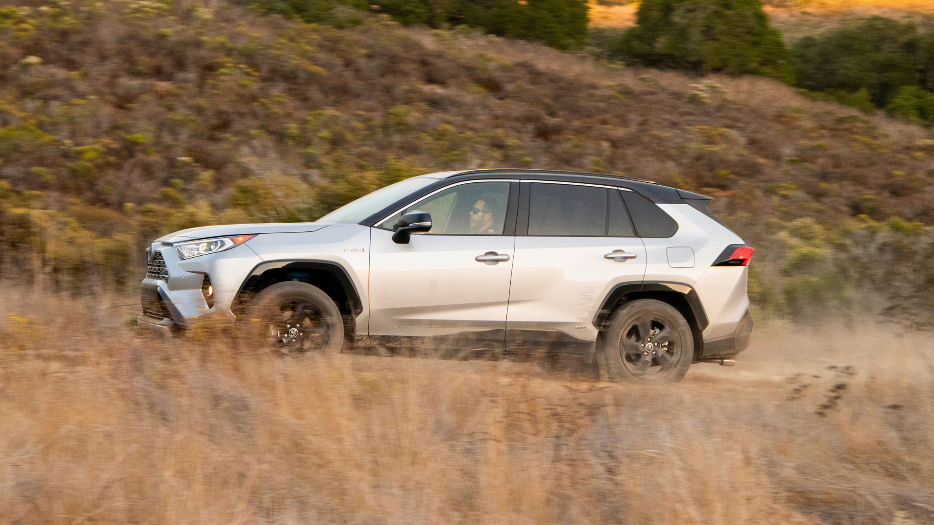 Side profile, silver, Toyota RAV4 Hybrid