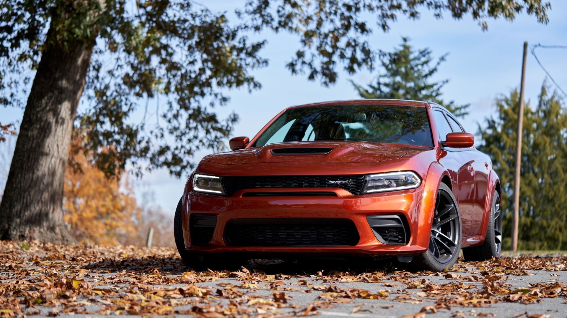 2023 Dodge Charger SRT Hellcat front 3/4 exterior shot parked over dried leaves on the tarmac.