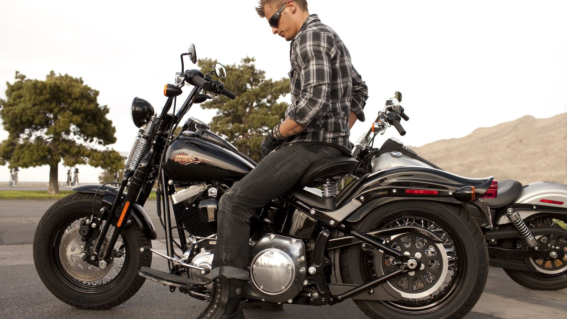 10 Best Harley-Davidson Softail Models Ever