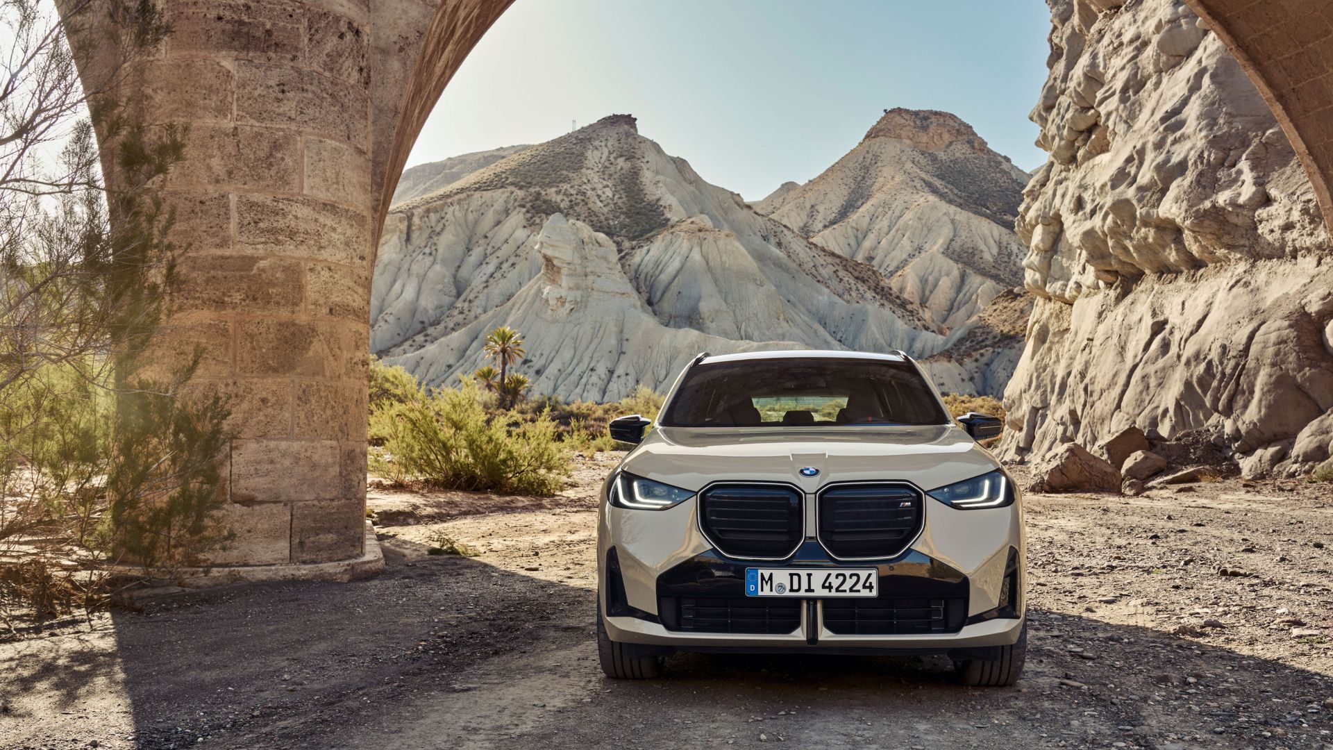2025 BMW X3-12