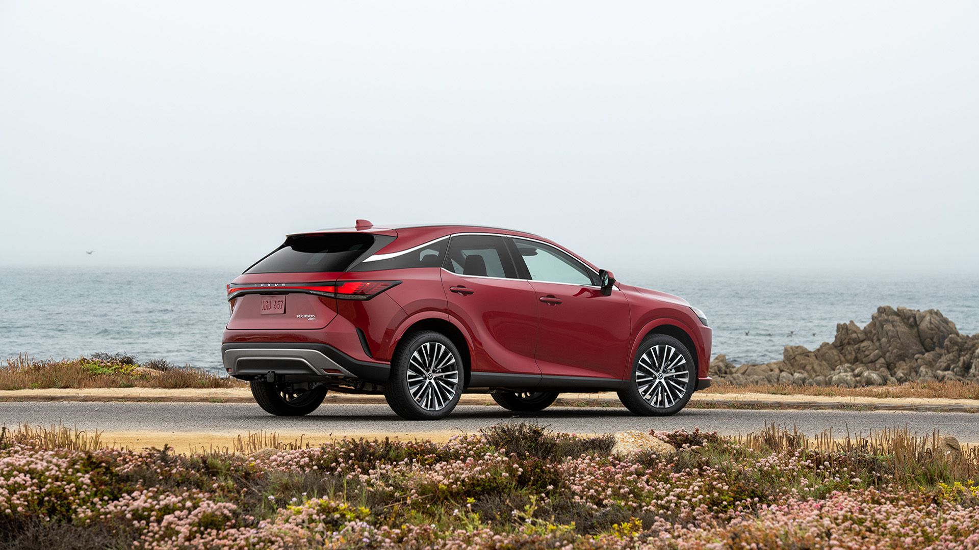 A Red 2023 Lexus RX 350h Parked Side On