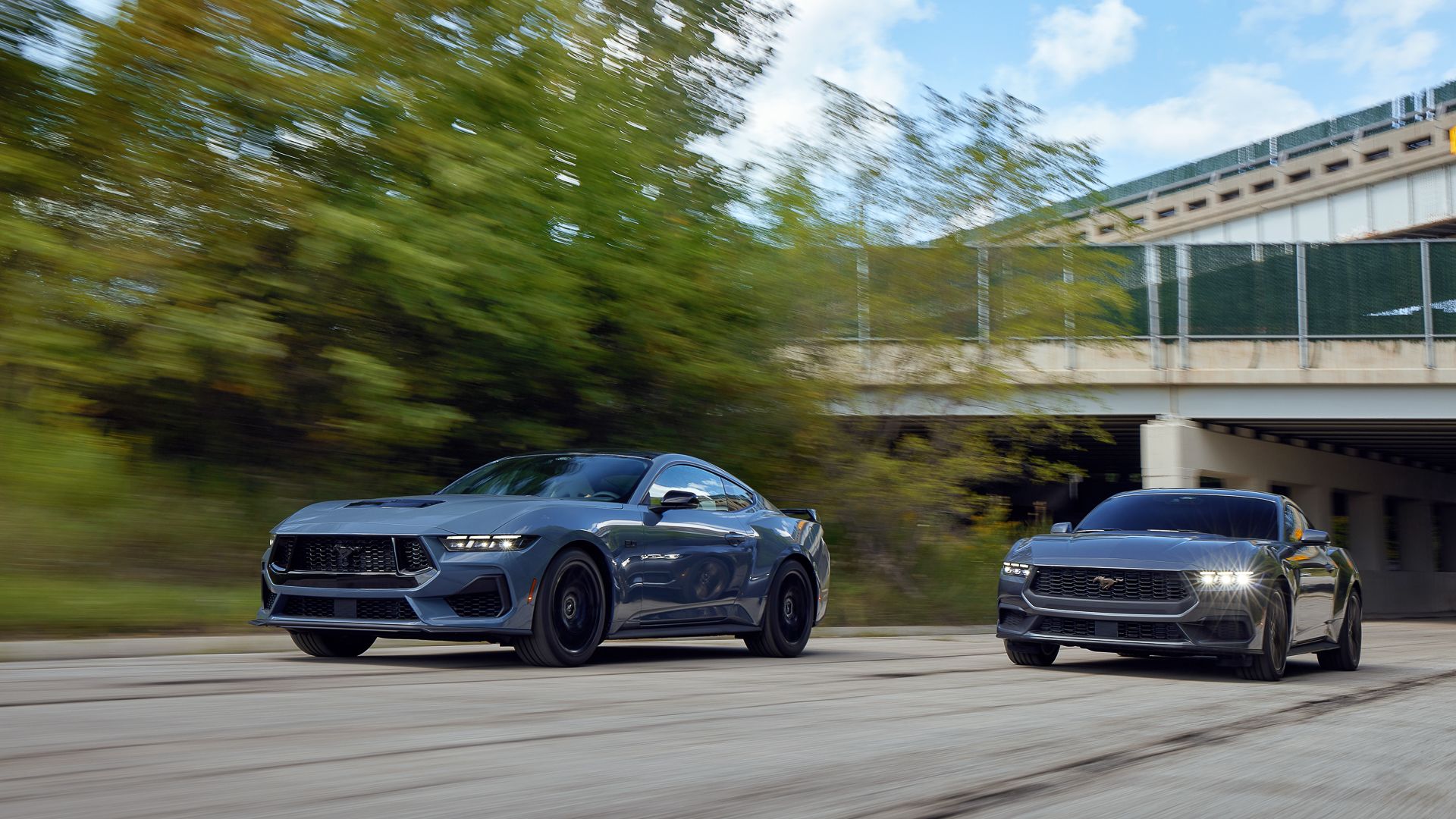 Ford Mustang-11 2024