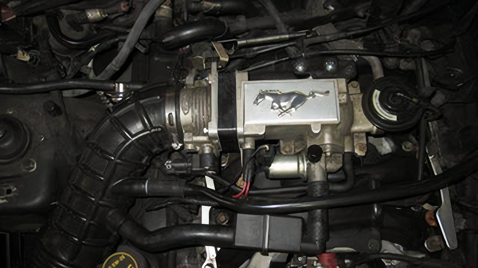 Corpo de Acelerador Ford Mustang