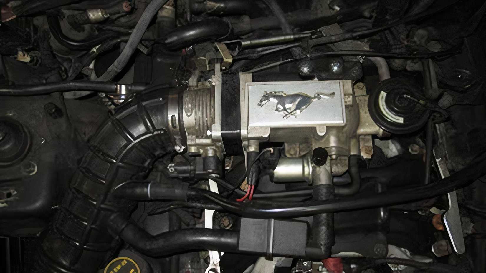 Ford Mustang Gas pedal body