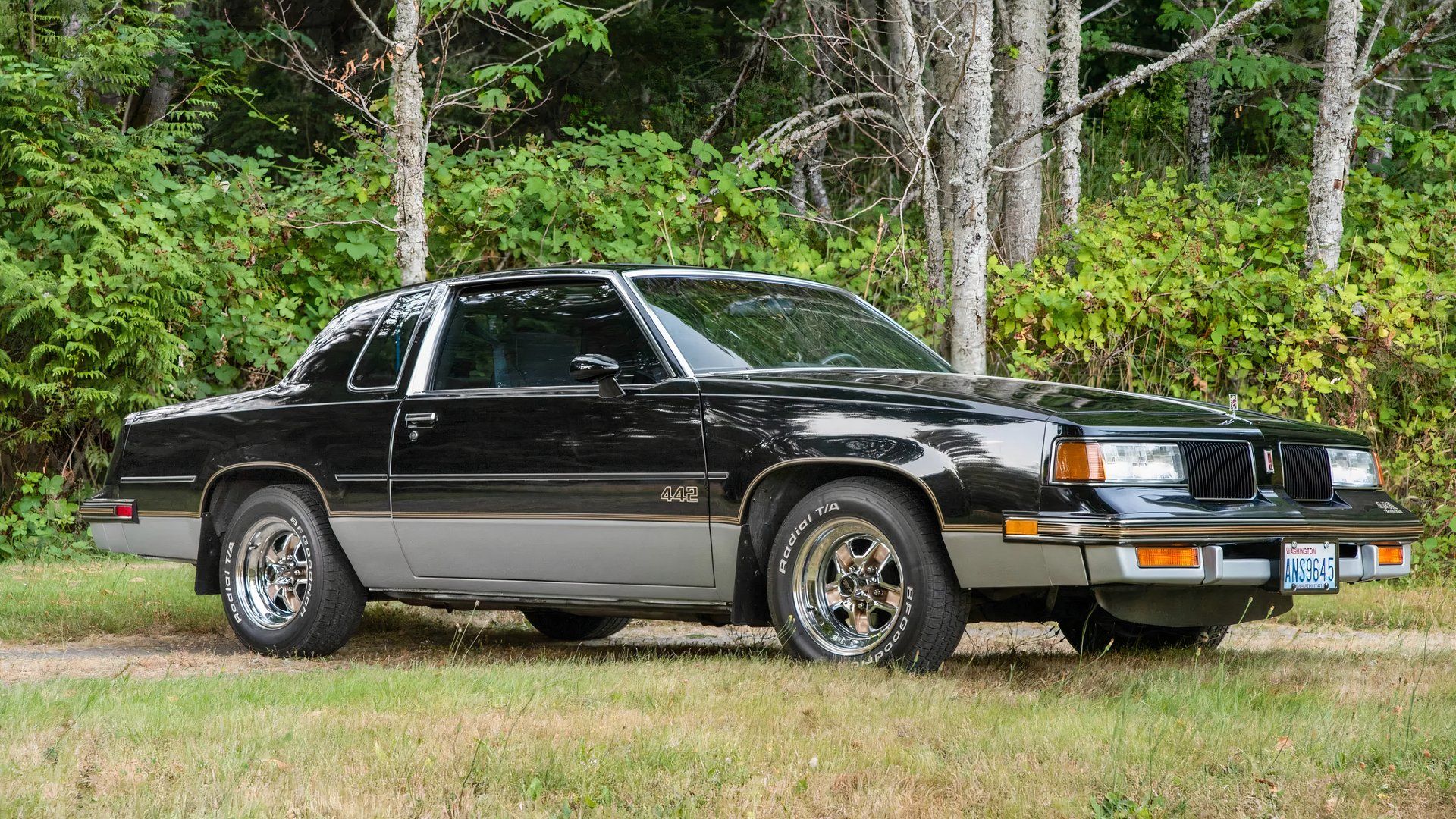 Oldsmobile 442 1987 foto frontal 3/4 exterior