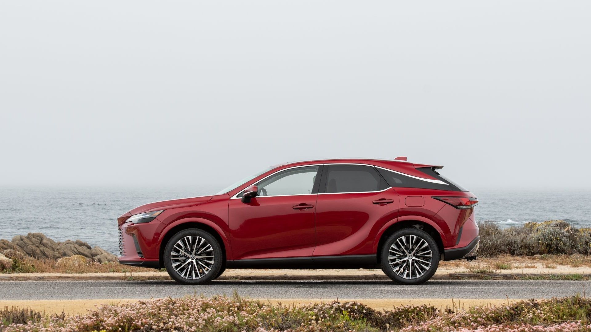 2022 Lexus RX