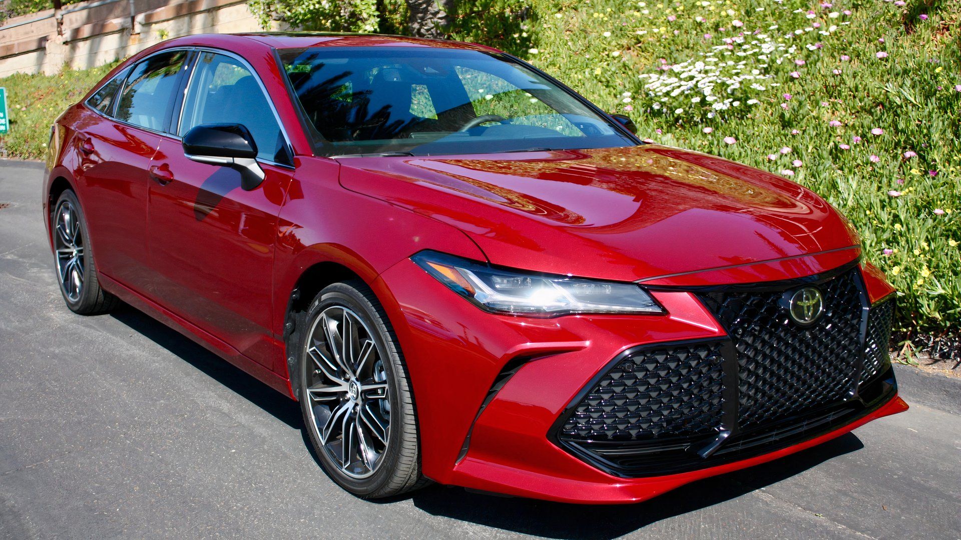 2019 Toyota Avalon