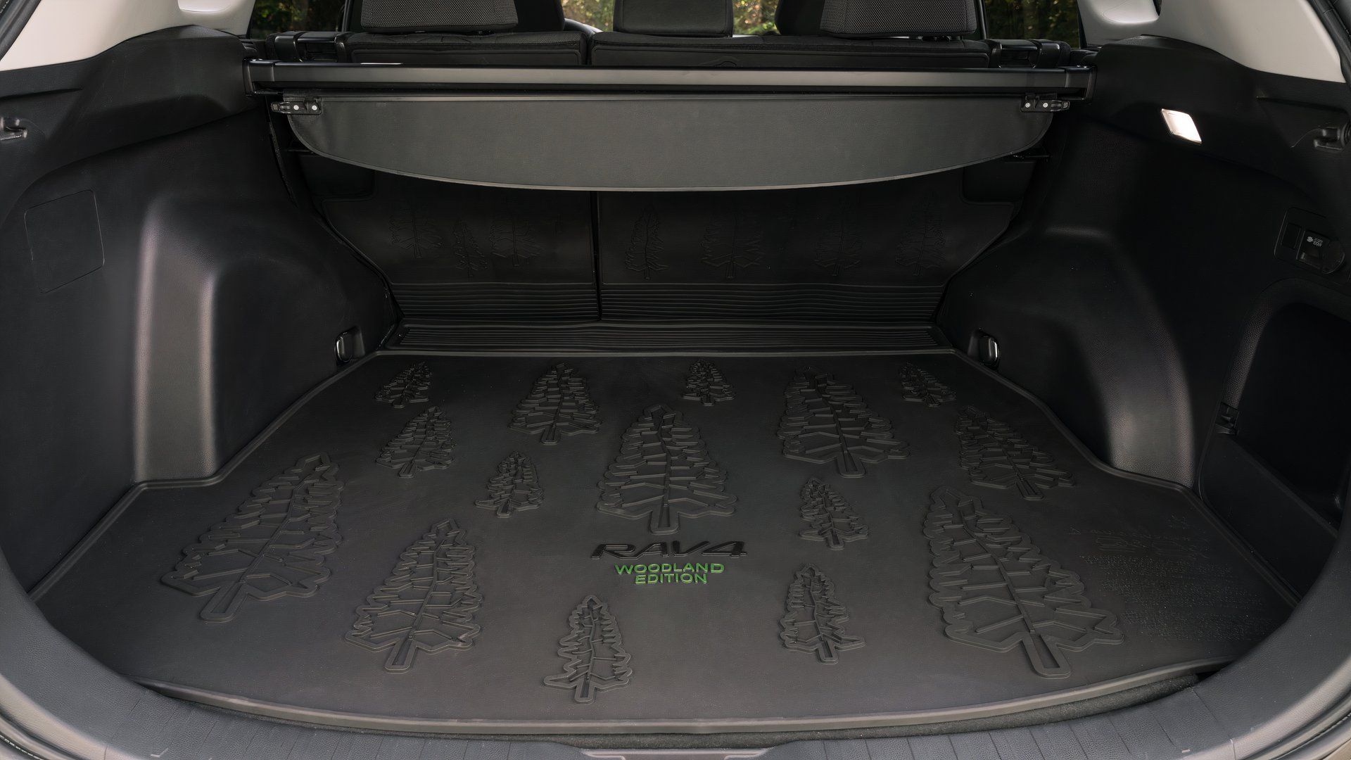 2024 Toyota RAV4 cargo