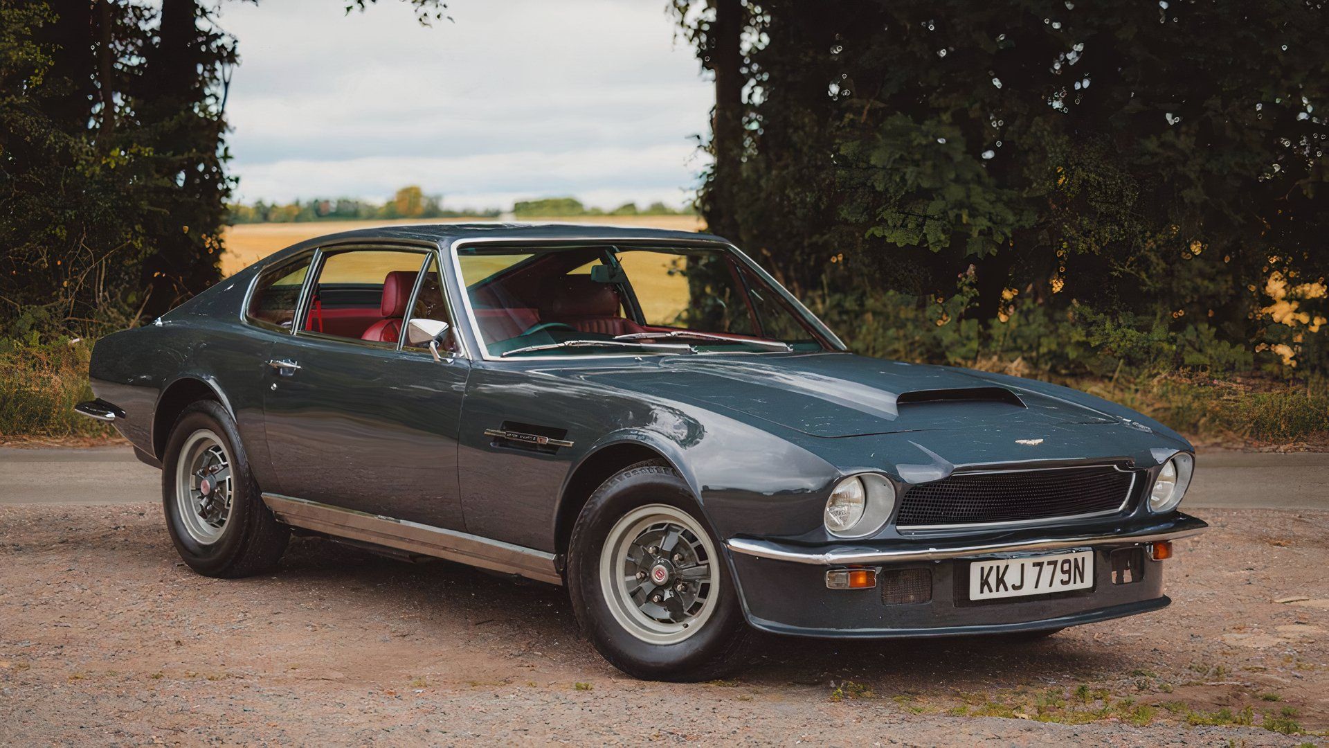 Aston Martin V8 Series 3 de 1975 em verde posando no campo