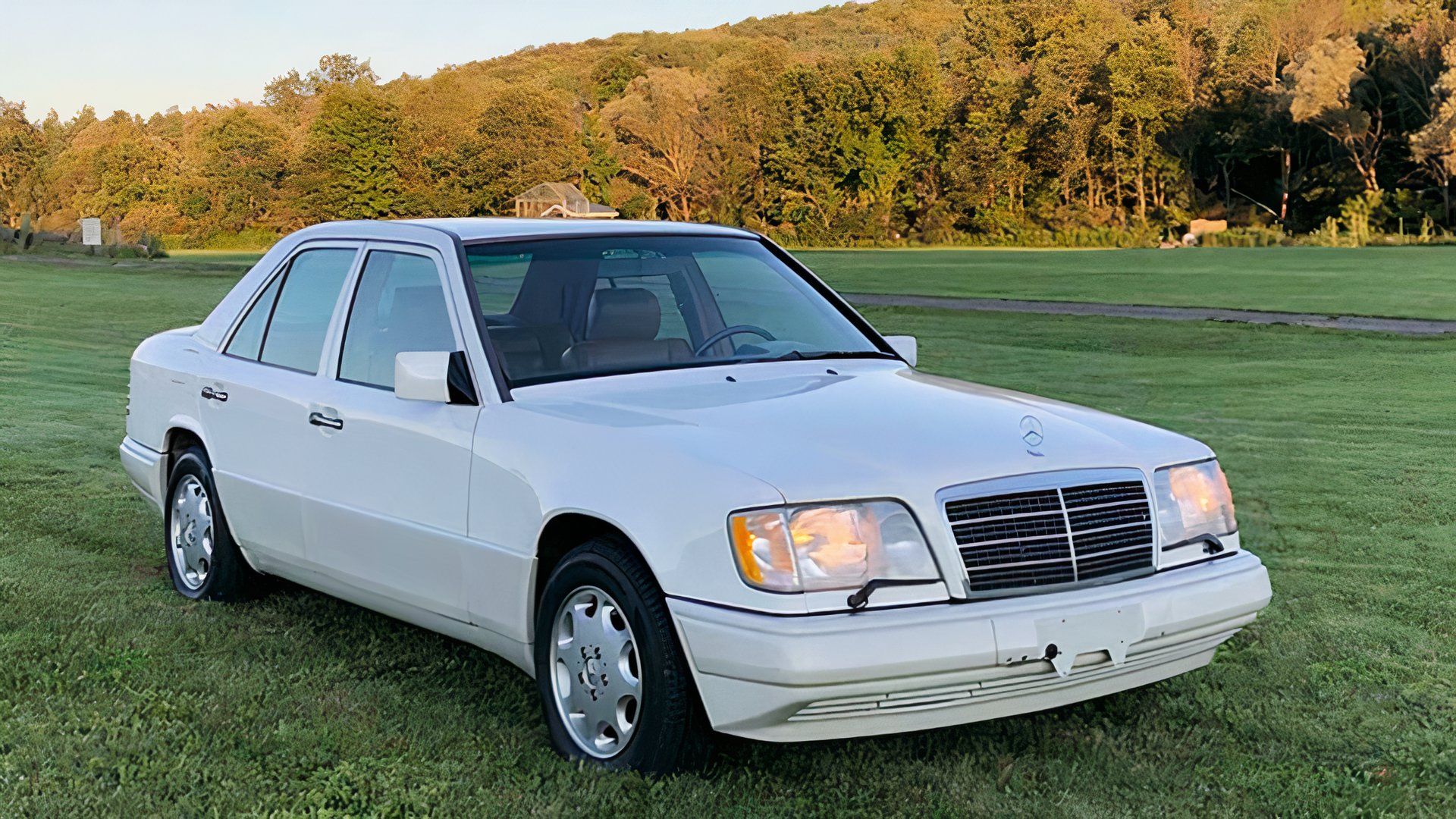 Best Of The Best Greatest Mercedes EClass Models Of All Time