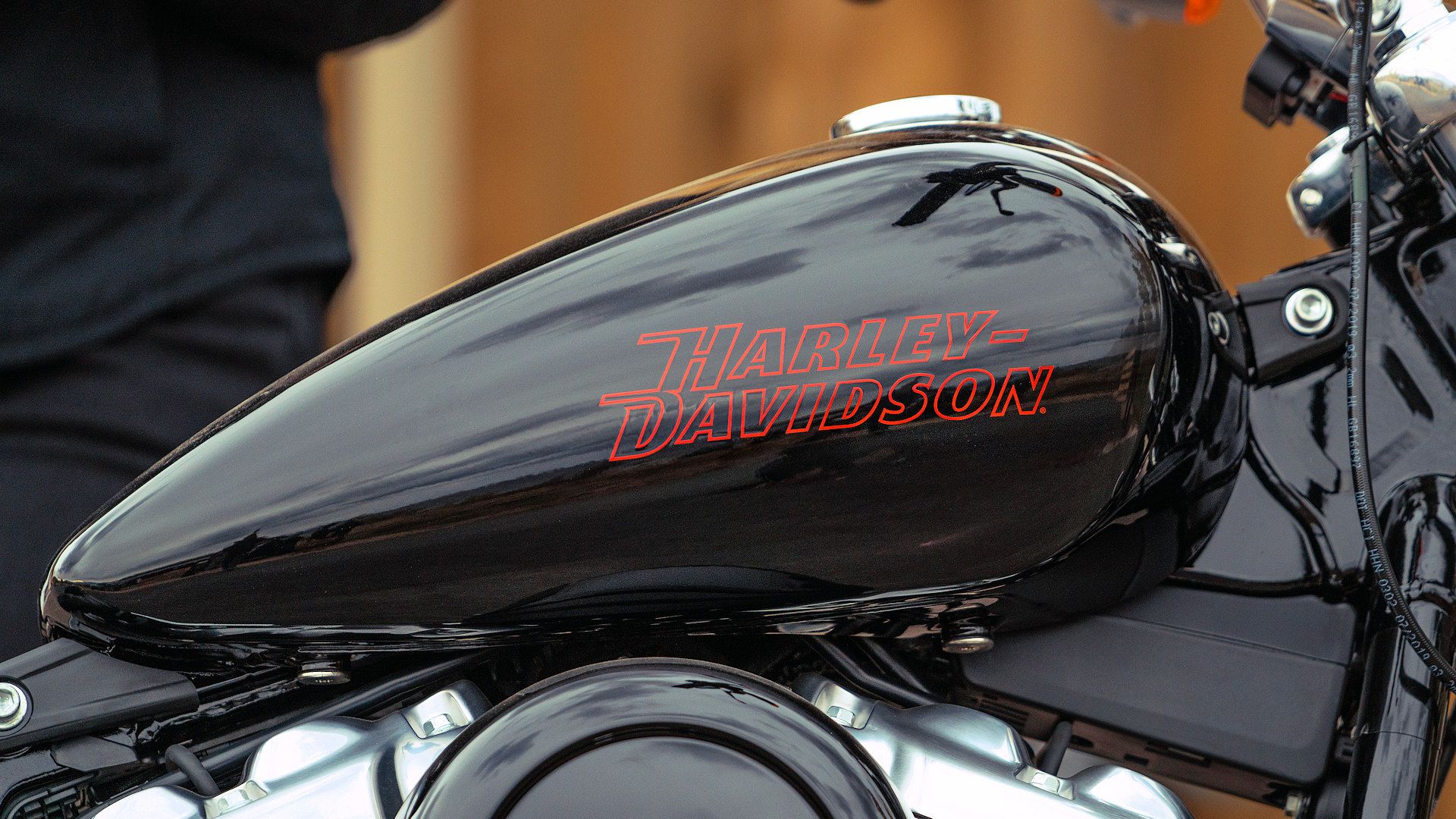 2024 Harley-Davidson Softail Standard tank close-up detail