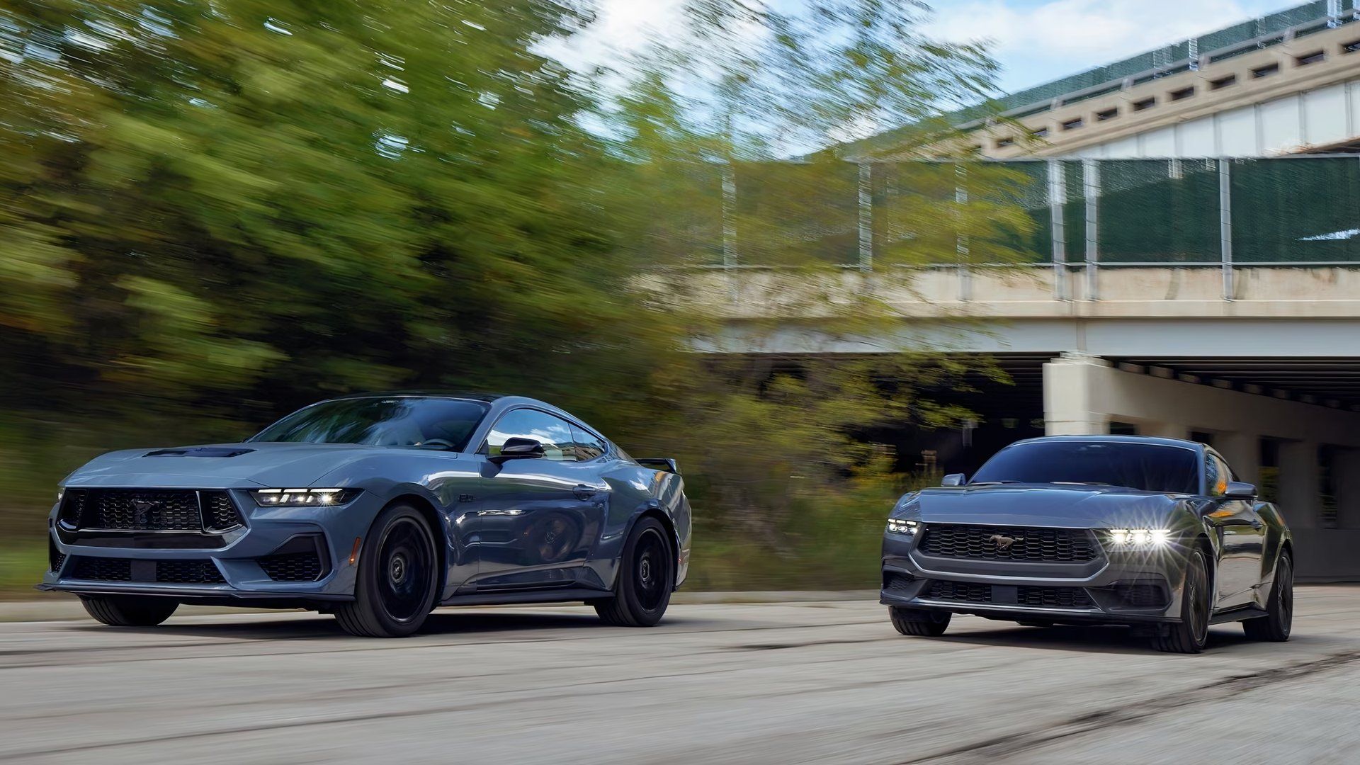 Duas corridas de Dark Horses Mustang 2025 Form