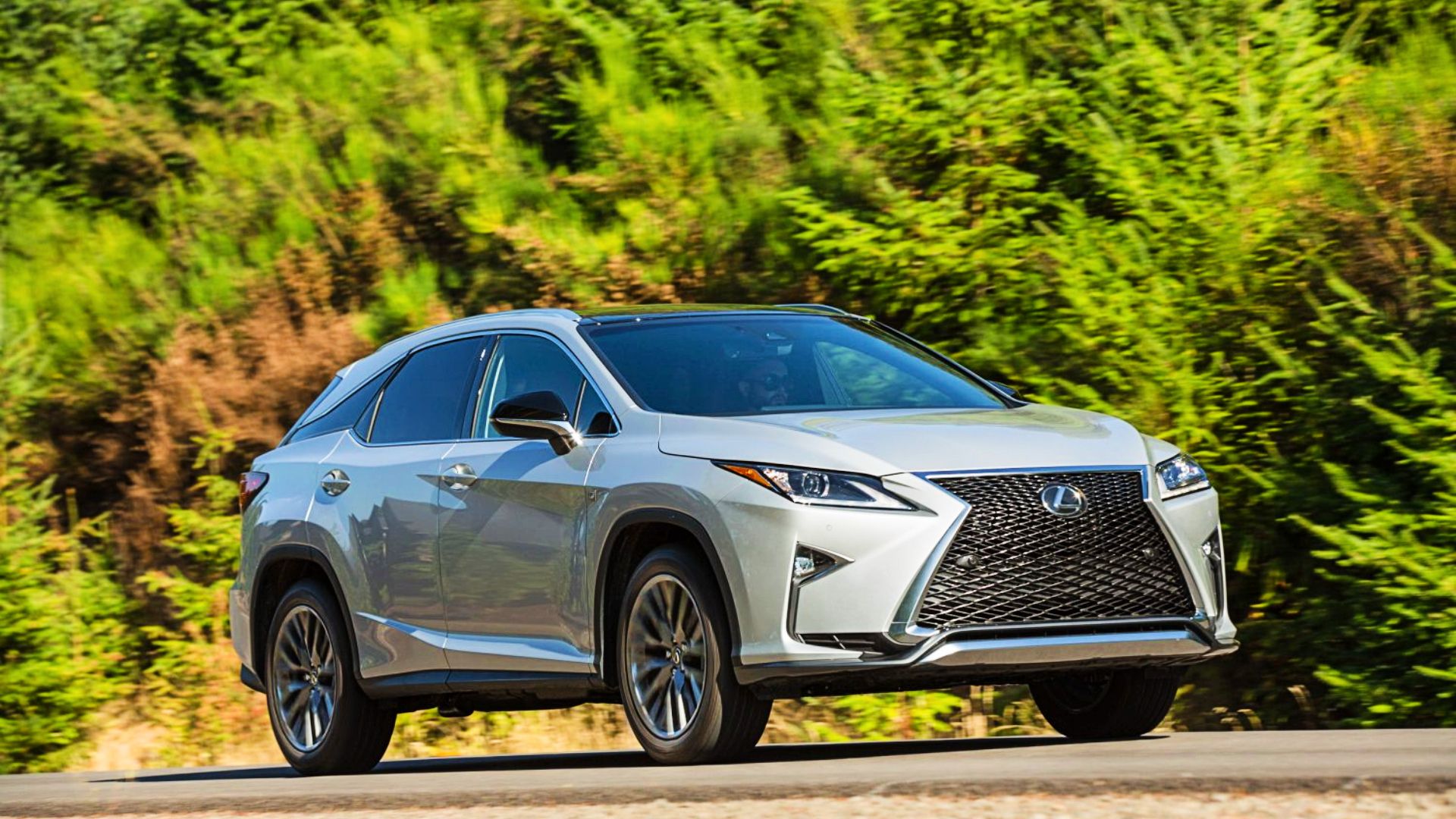 2016 Lexus RX 350 action shot