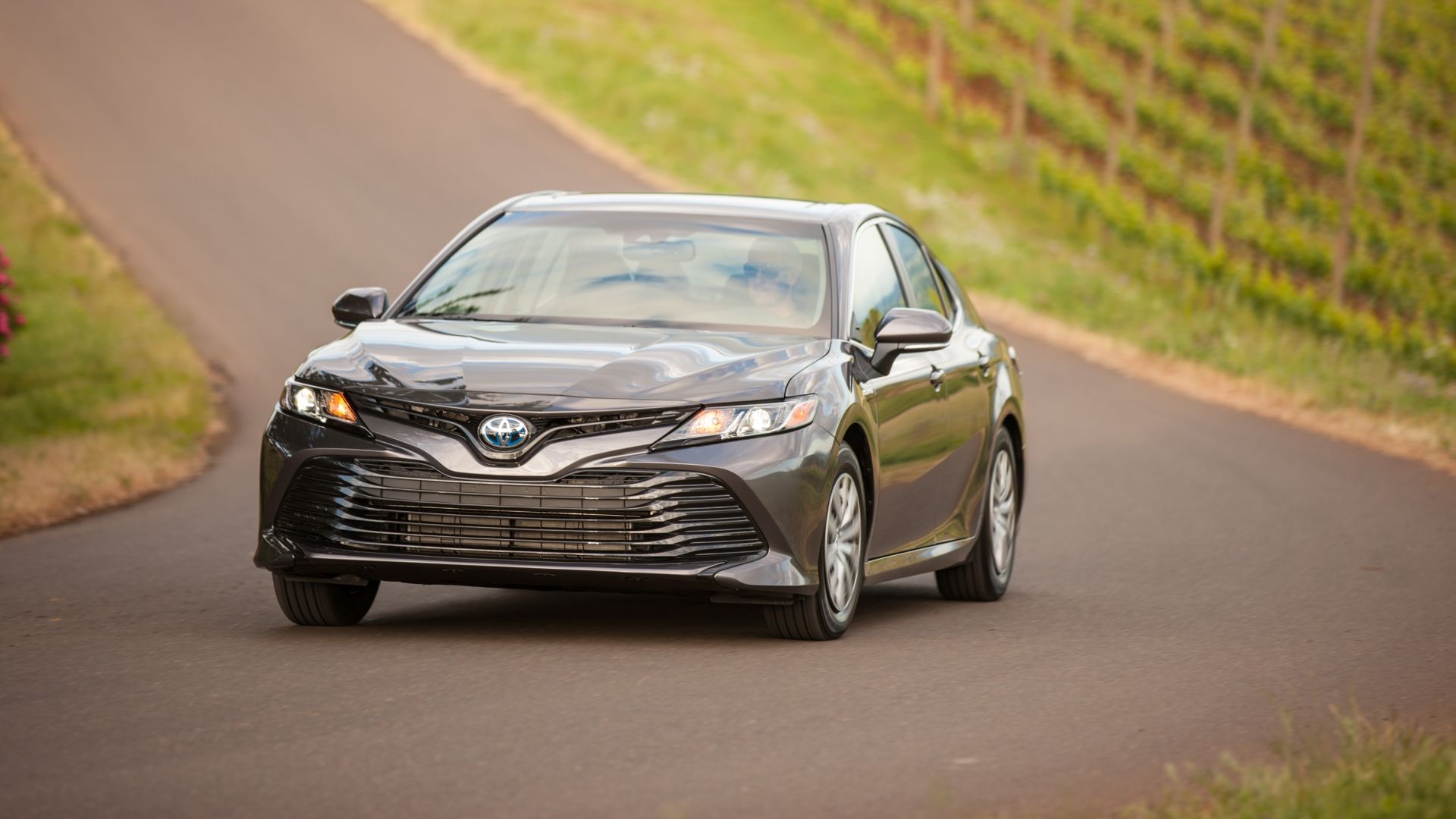 2019 Toyota Camry Hybrid action shot