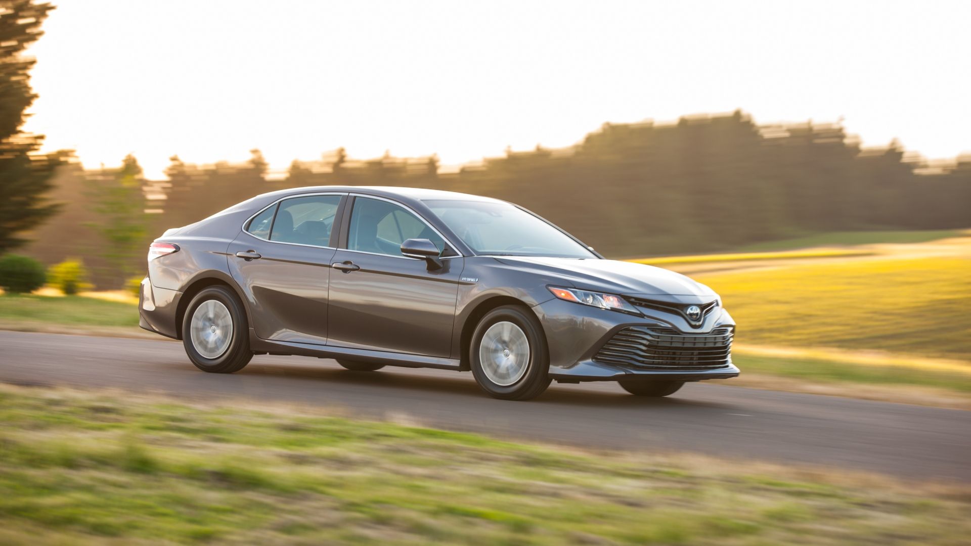2019 Toyota Camry Hybrid side action