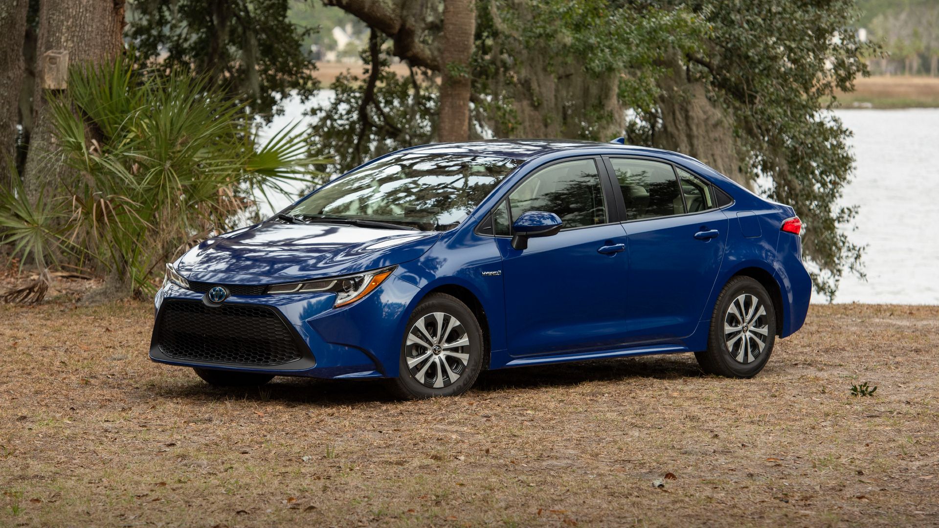 2020 Corolla LE Hybrid Blue Crush Metallic