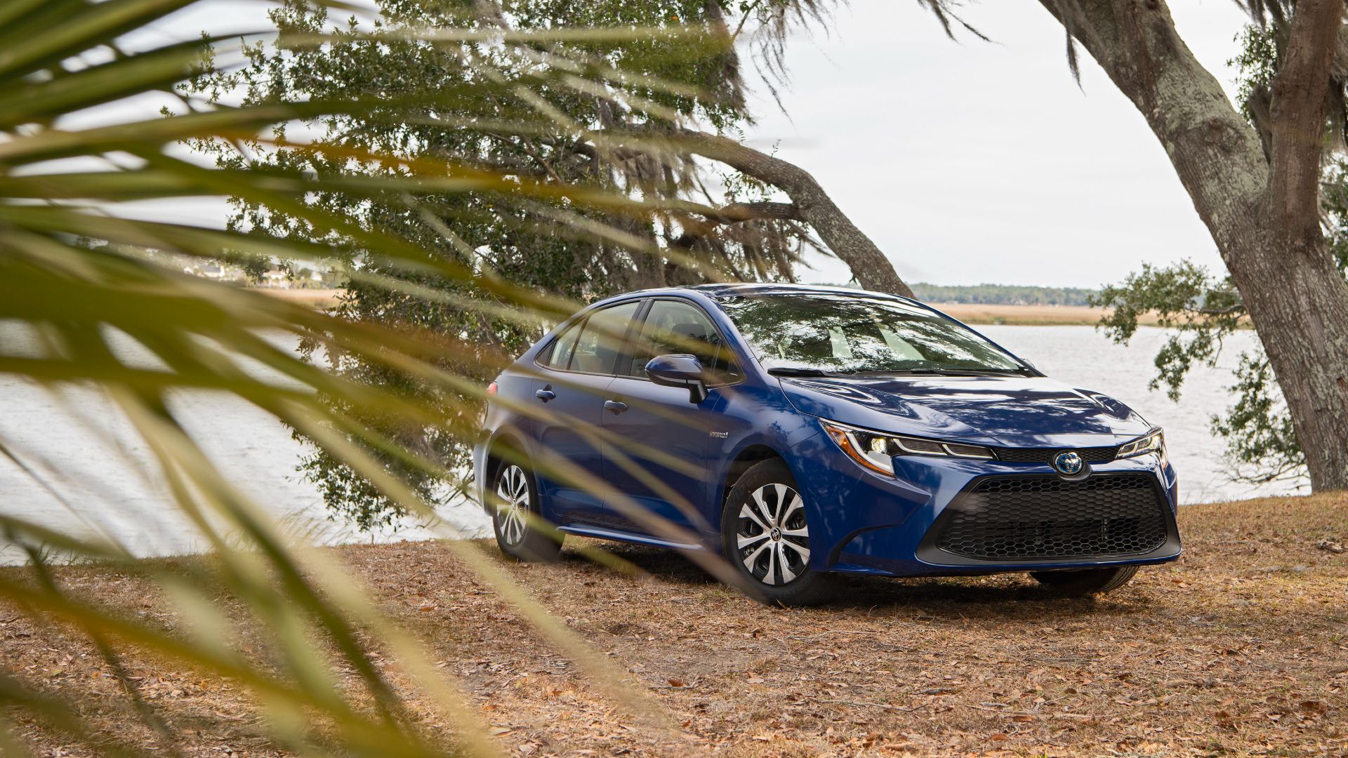 2020 Toyota Corolla Hybrid Exterior