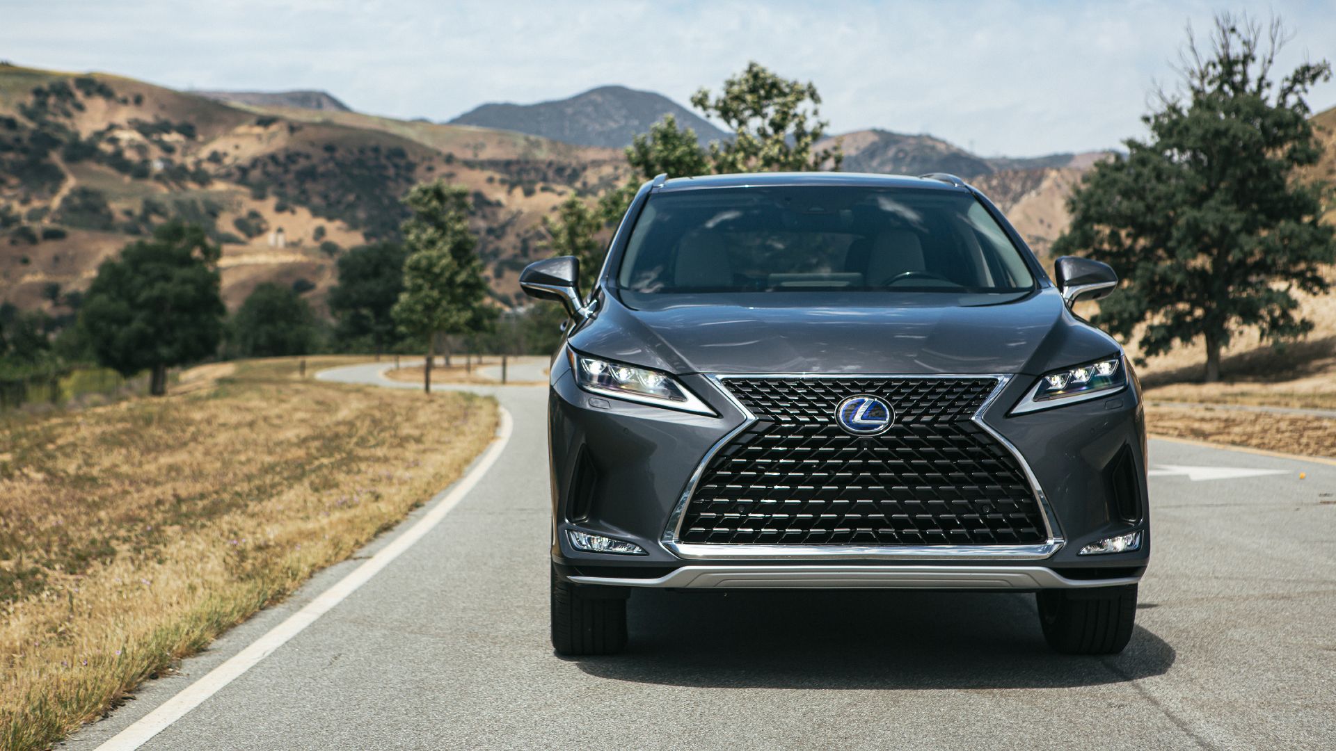 2020-2022 Lexus RX 450hL Driving