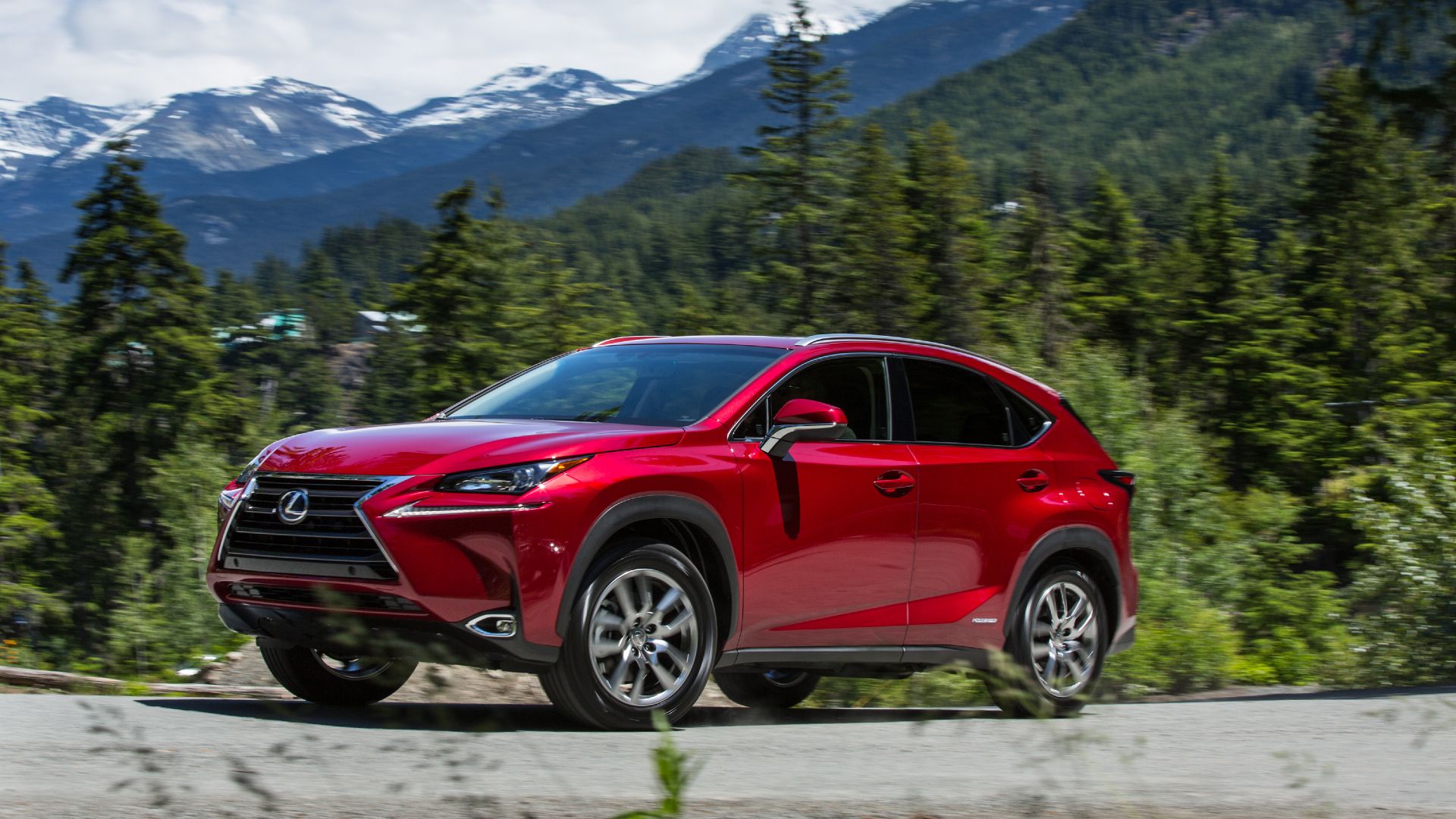 2020 Lexus NX 300h Parked Near Mountains 