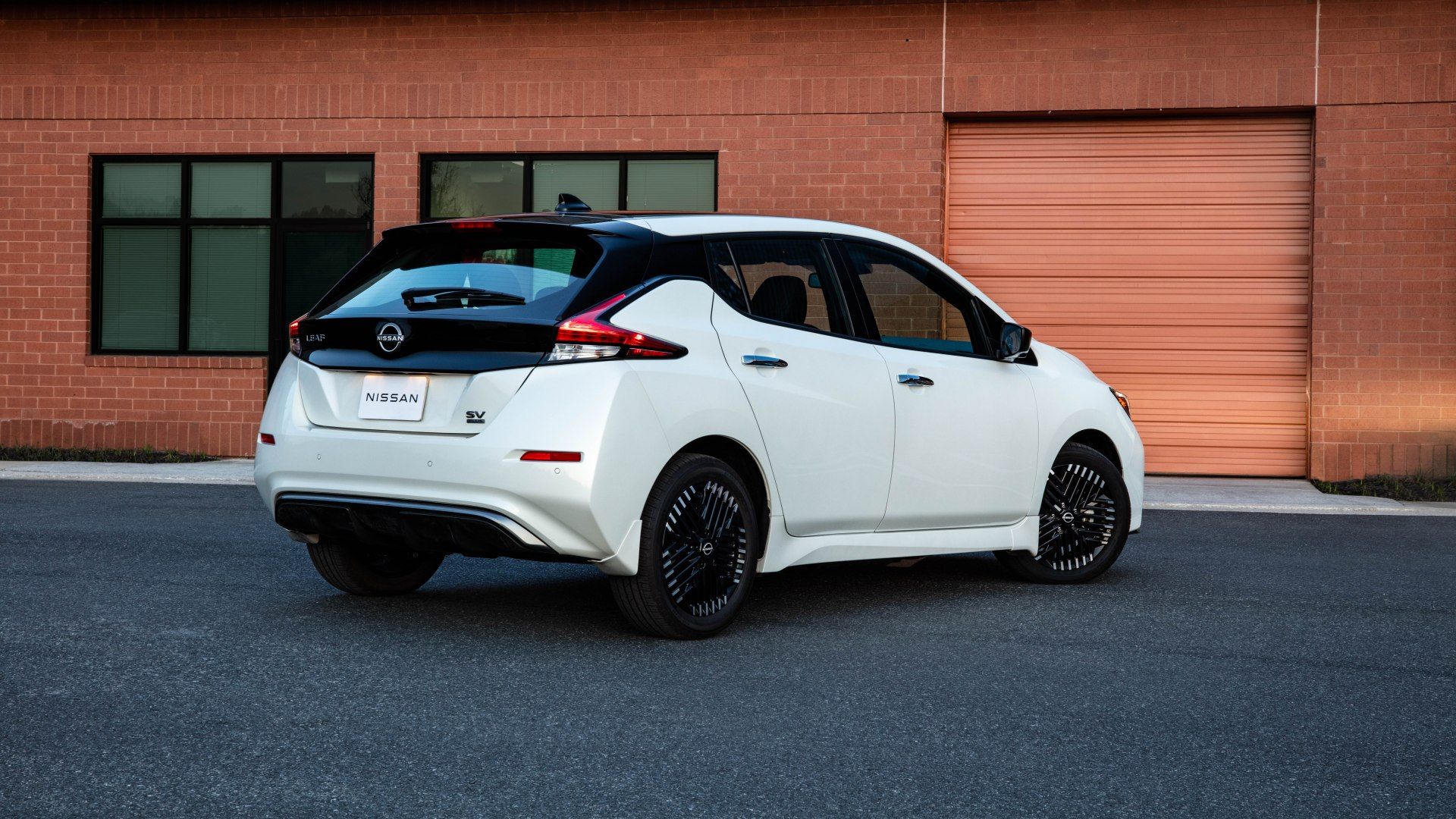 White Leaf rear-quarter