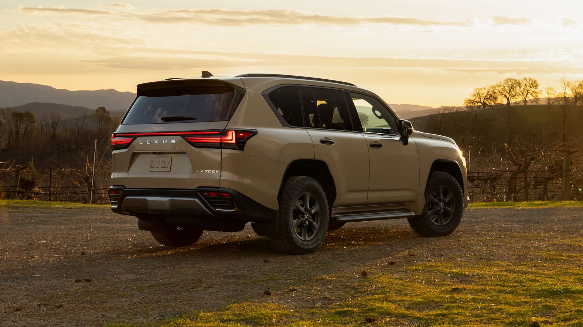 2025 Lexus LX 700h Rear Angle