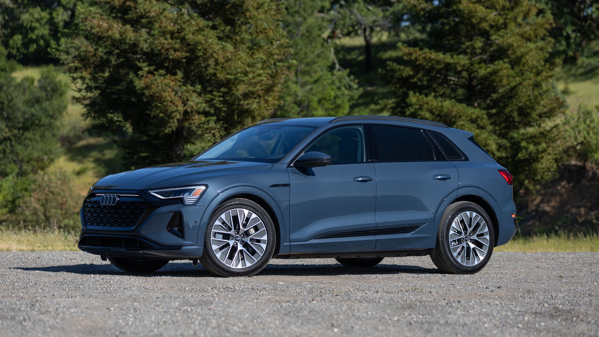 2024 Audi Q8 e-tron Exterior Side Profile