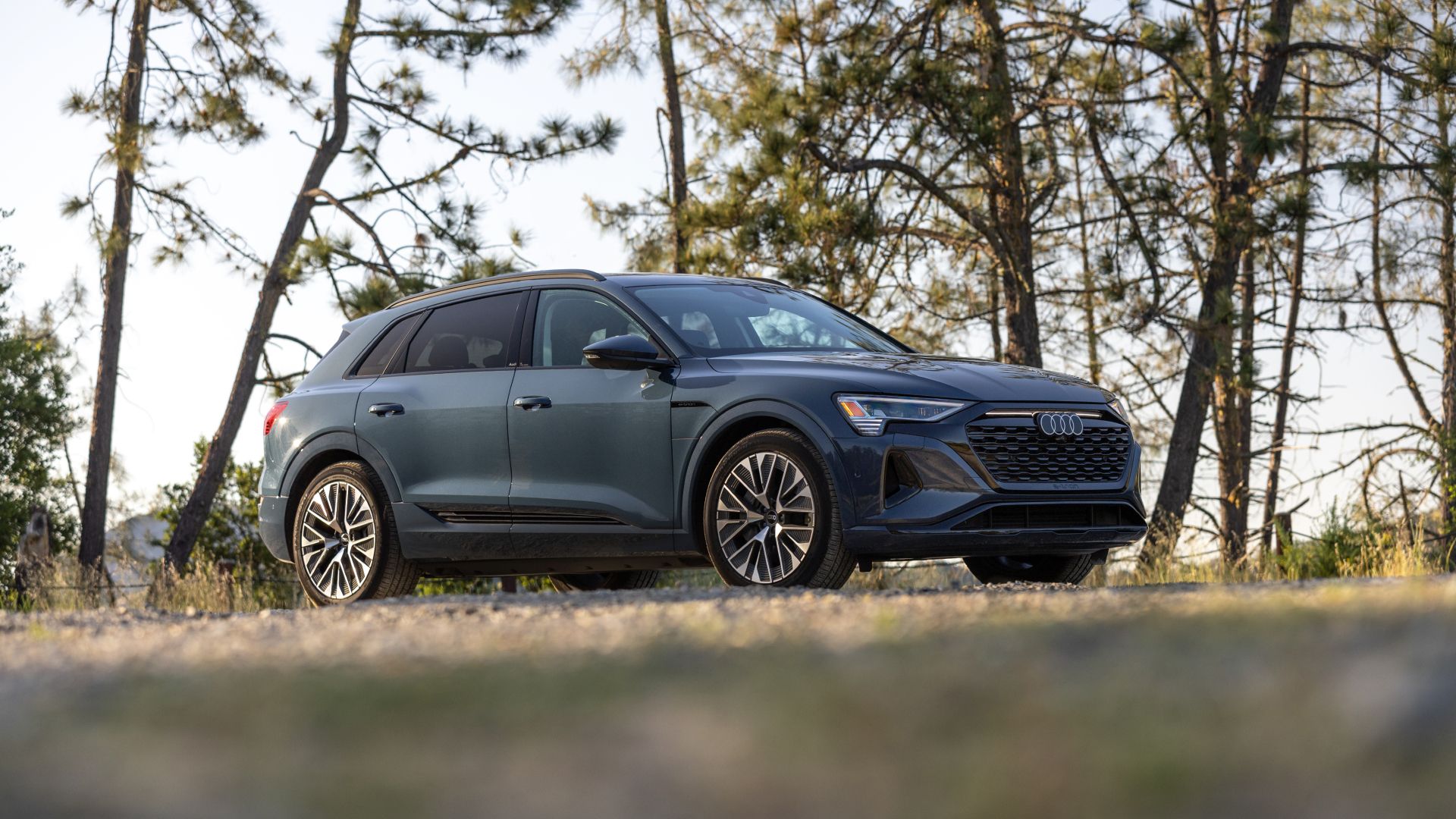 2024 Audi Q8 e-tron Exterior Side Profile