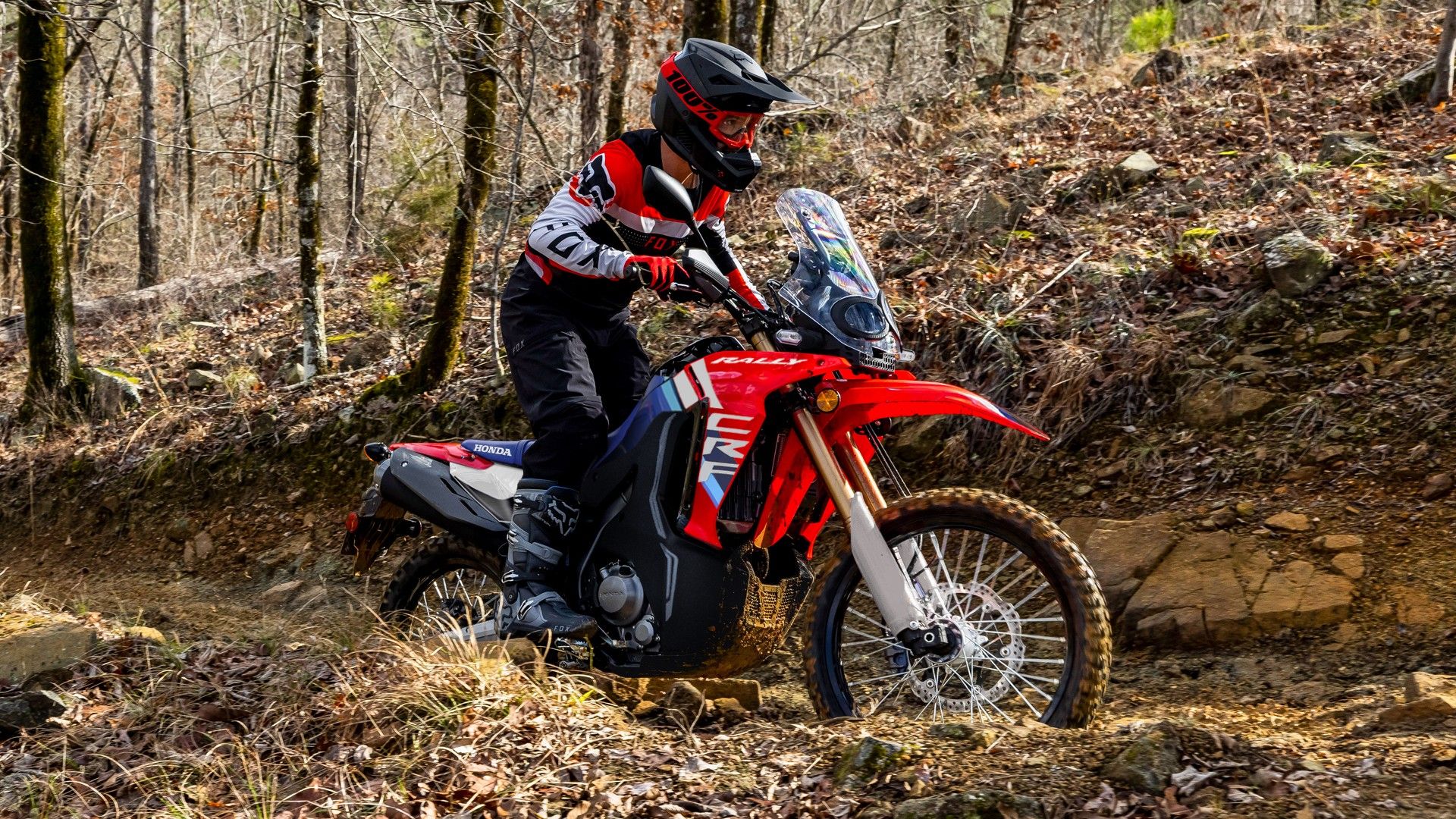2025 Honda CRF300L Rally dual sport adv in action