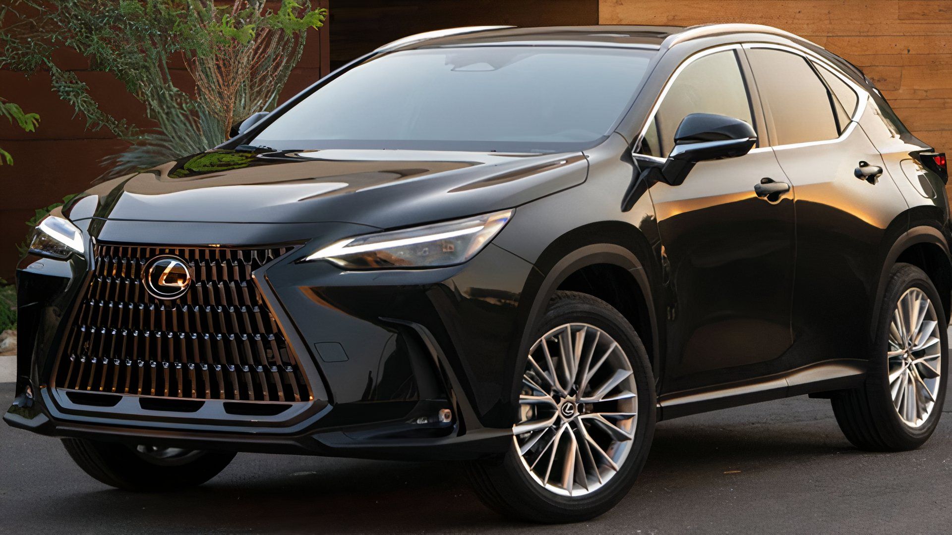 2025 Lexus NX 350