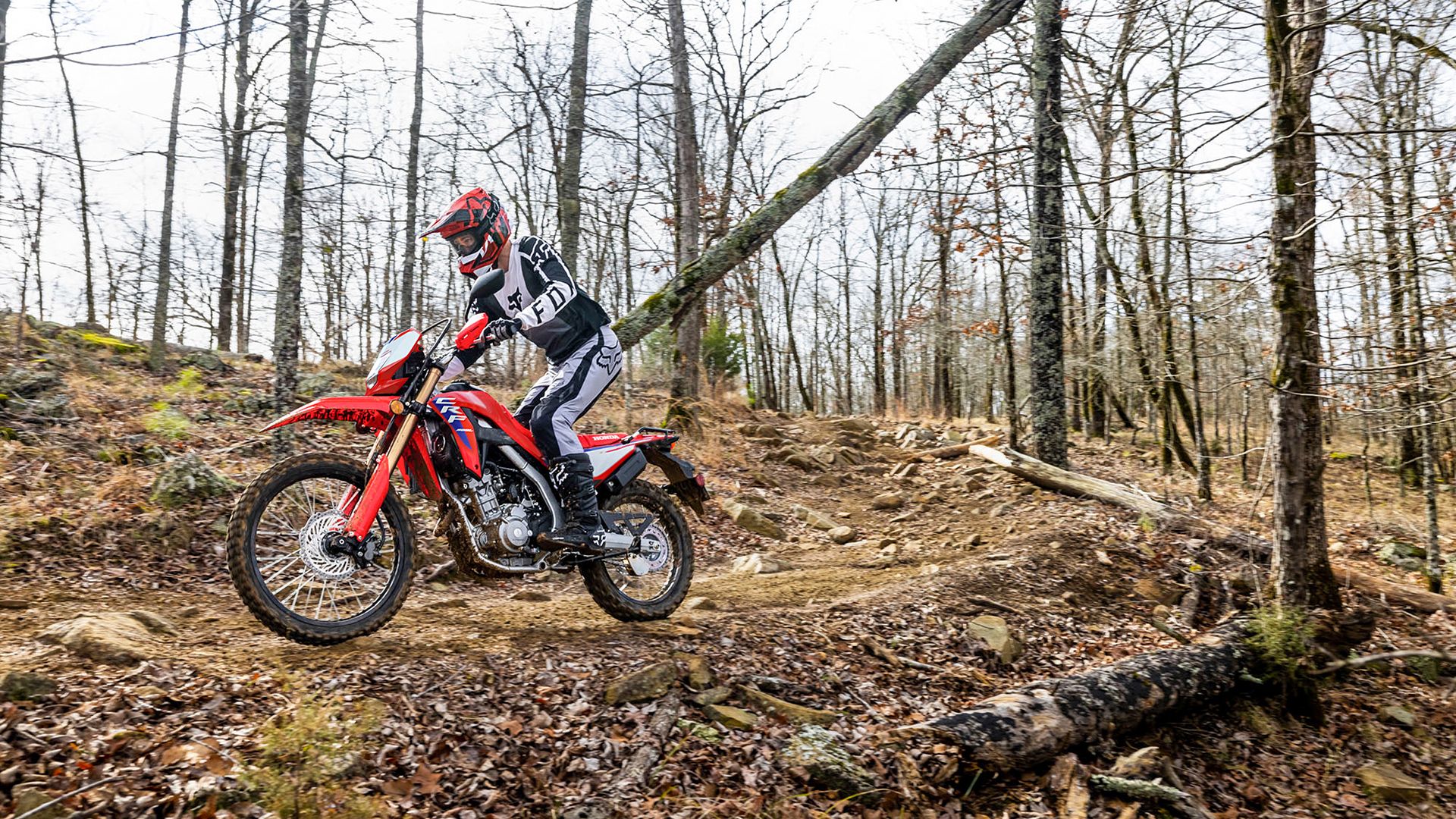 2025 Honda CRF300L
