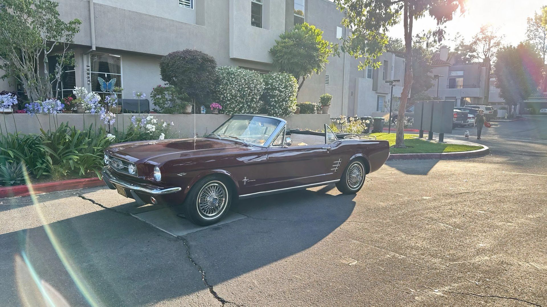 1966 Ford Mustang Convertible in maroon parked on street