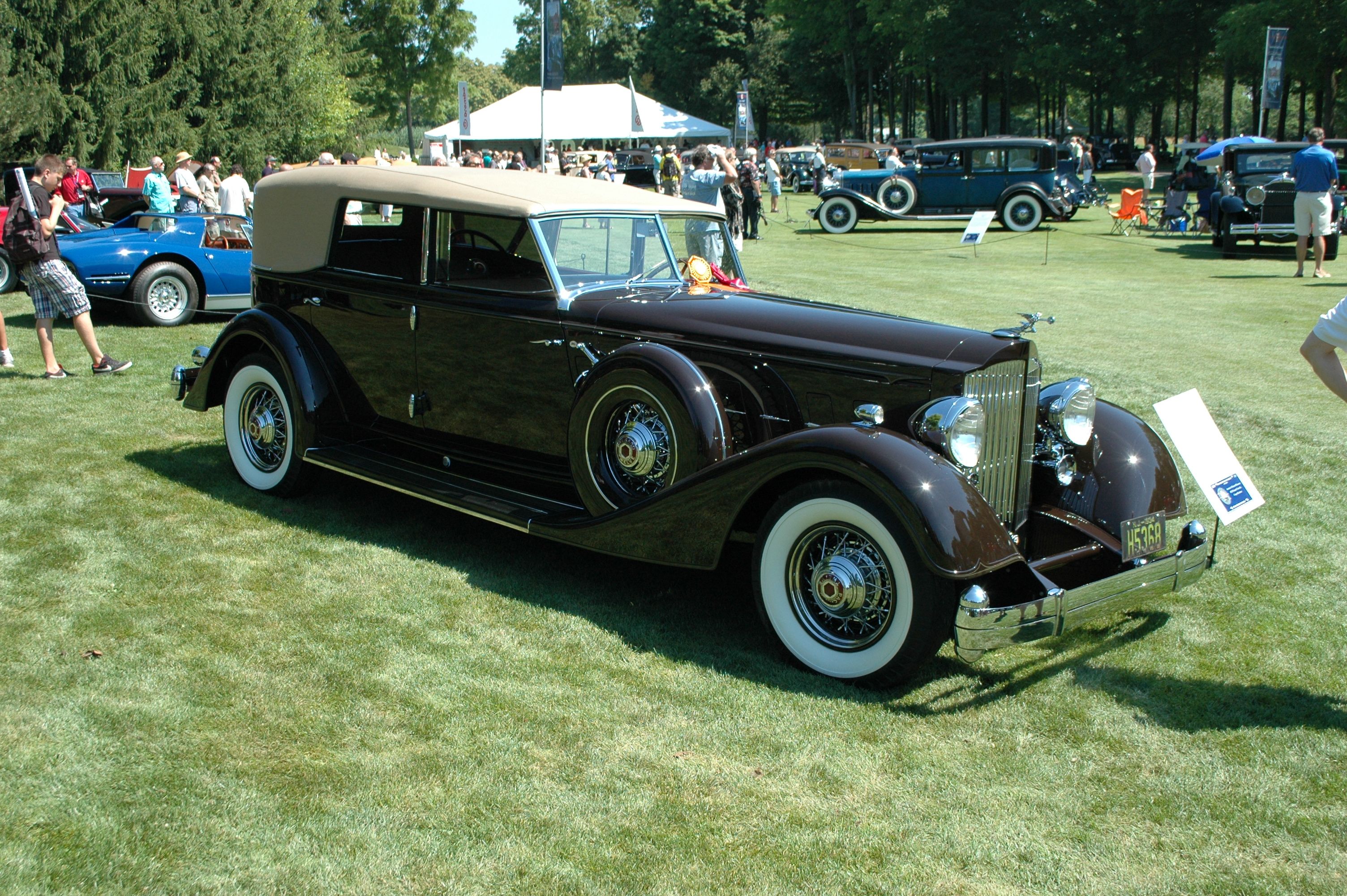 37th 2015 Concours D'elegance of the Americas